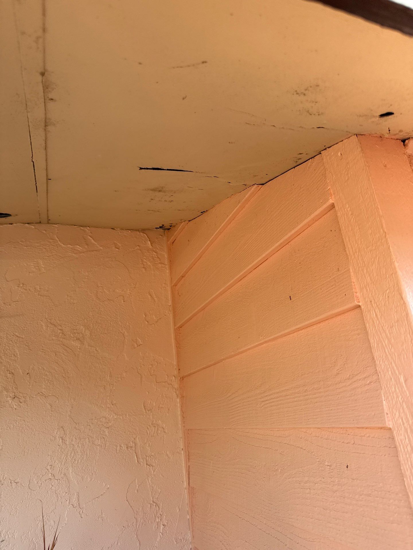 Musket Brown Soffit Installation in Sarasota FL by Gutter Professors