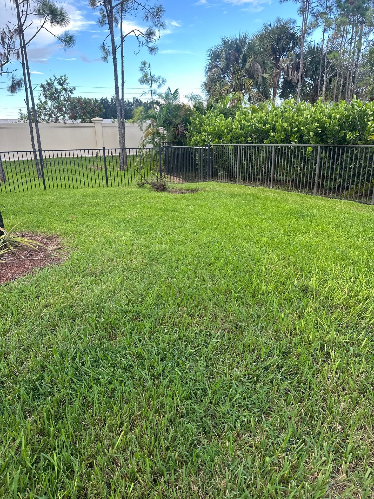 From Overgrown to Picture-Perfect - Stuart Refresh by Alpha Zeta Enterprises Inc