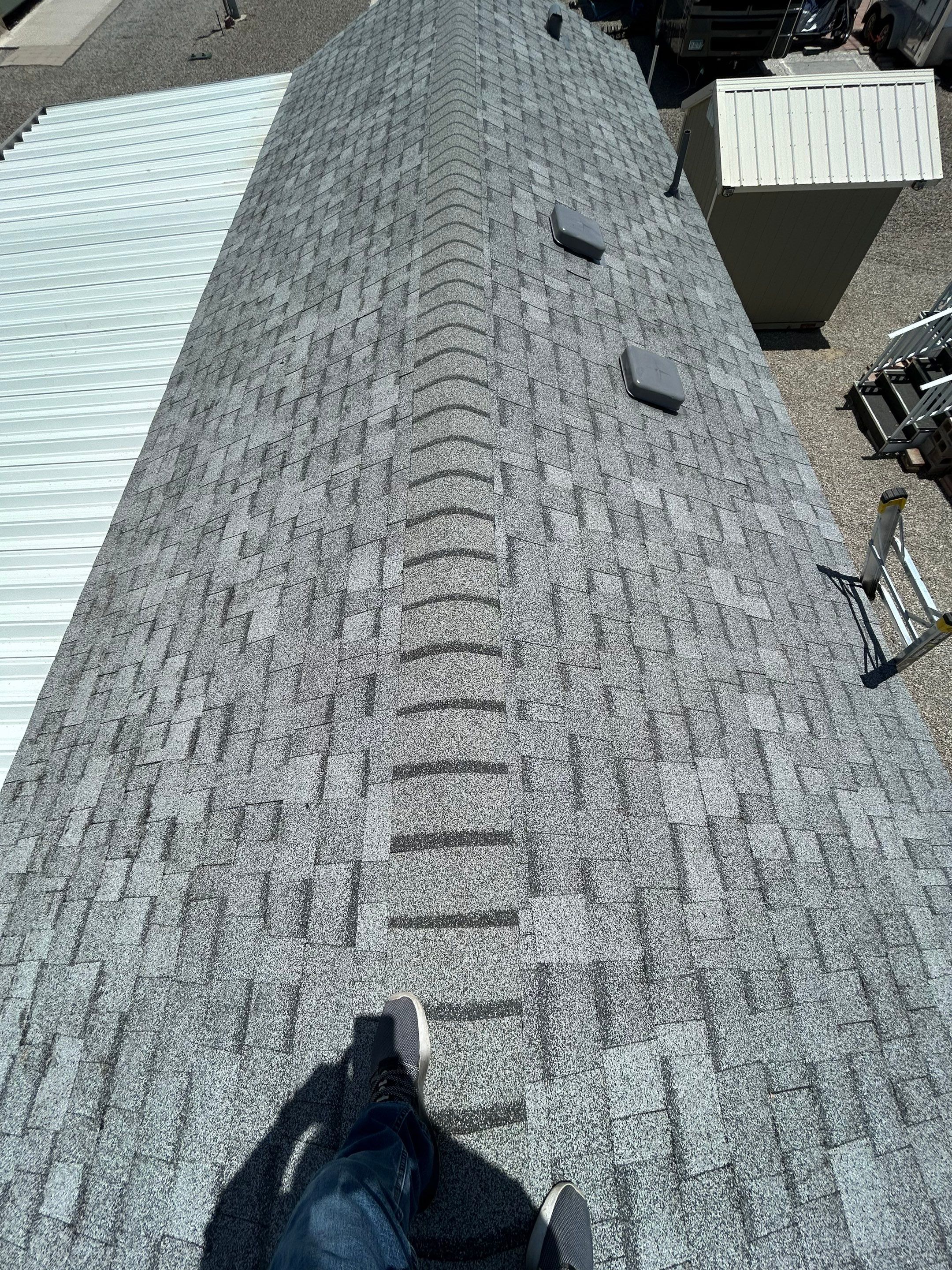 Silver Birch Shingles by Reimagine Roofing