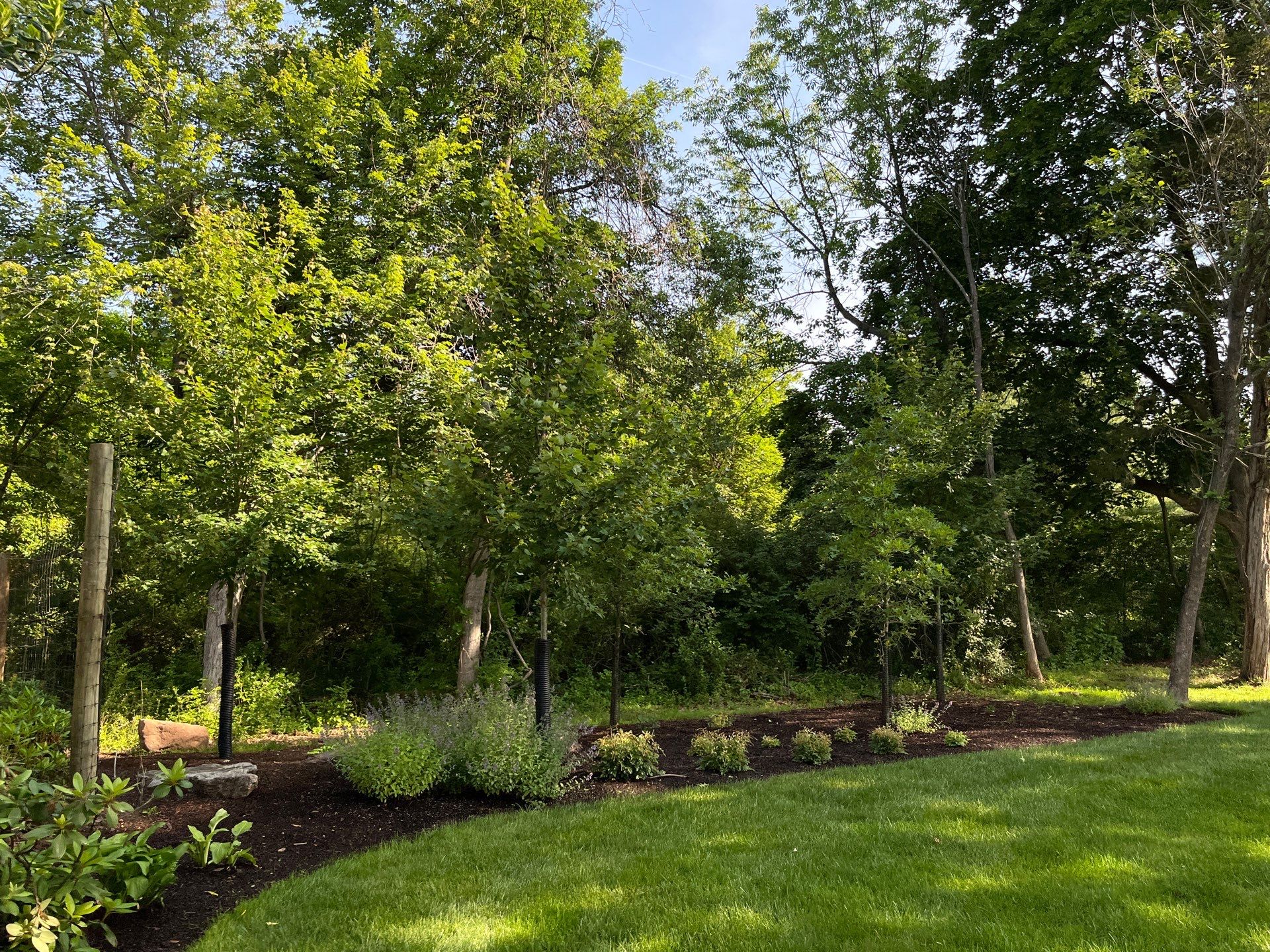 Professional Lawn Care for Far Hills Estate by Ants Plants