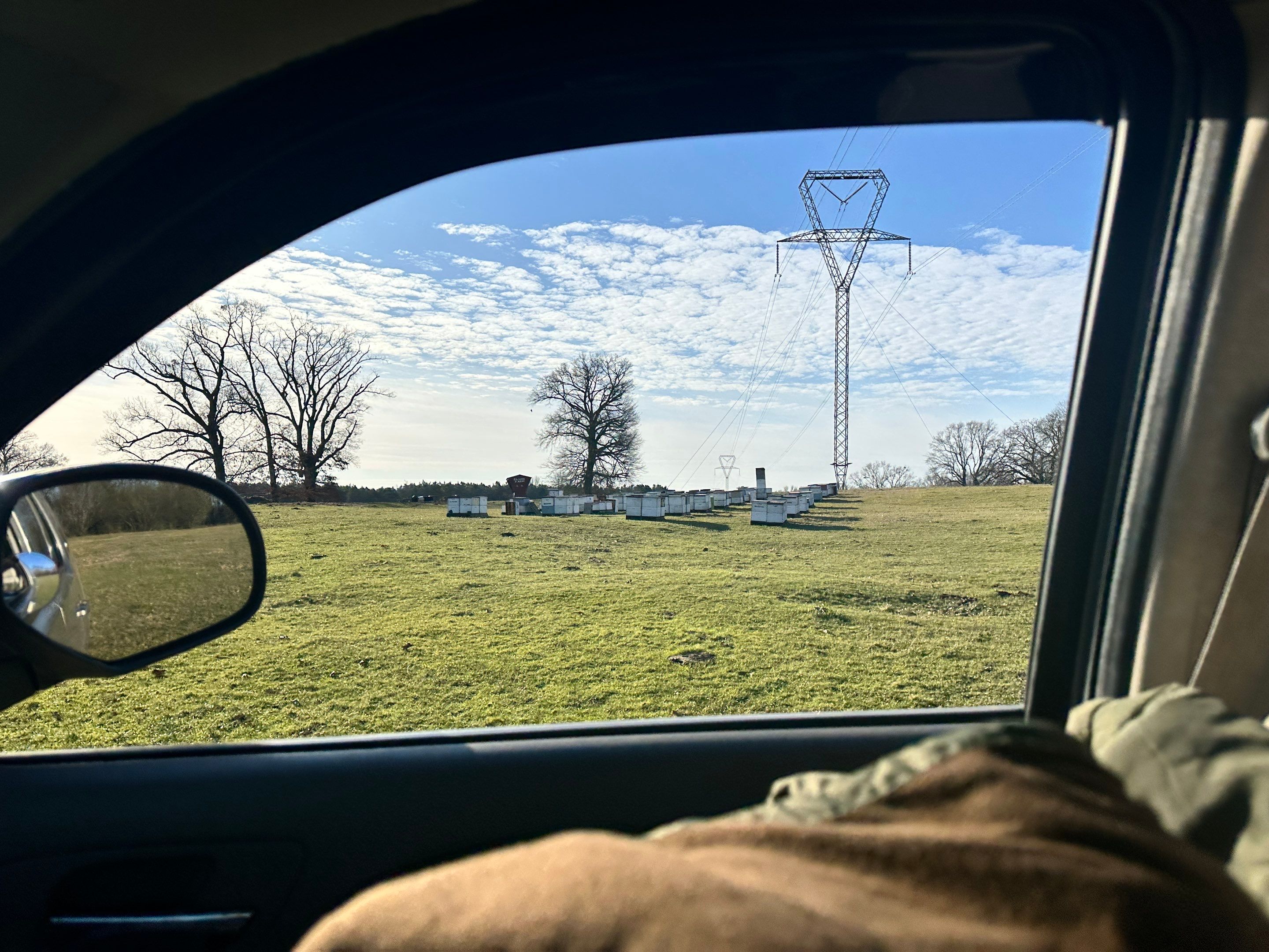 Clubb's Cow Farm Apiary by Rockwall Honey Bee Company