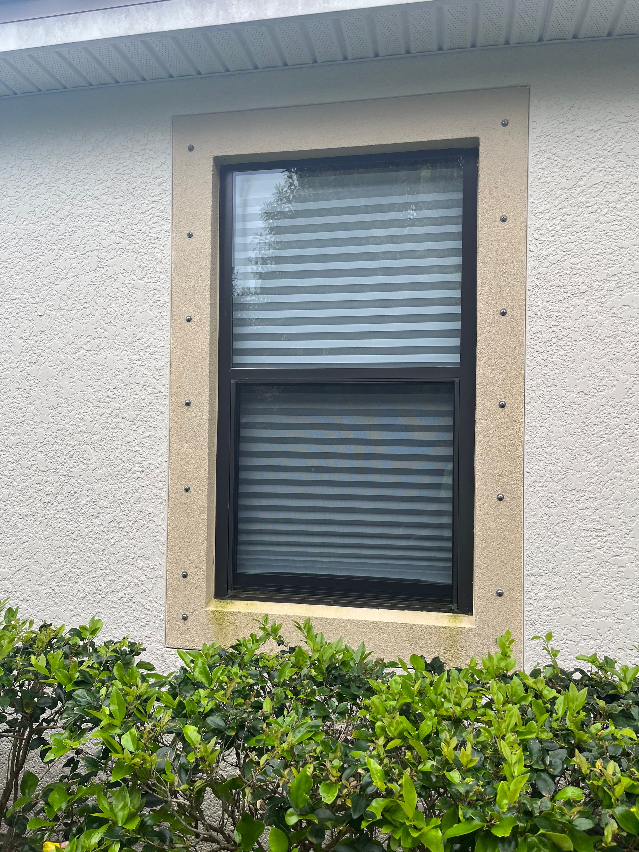 Bronze Single Hungs & PW's by NewSouth Window Jacksonville
