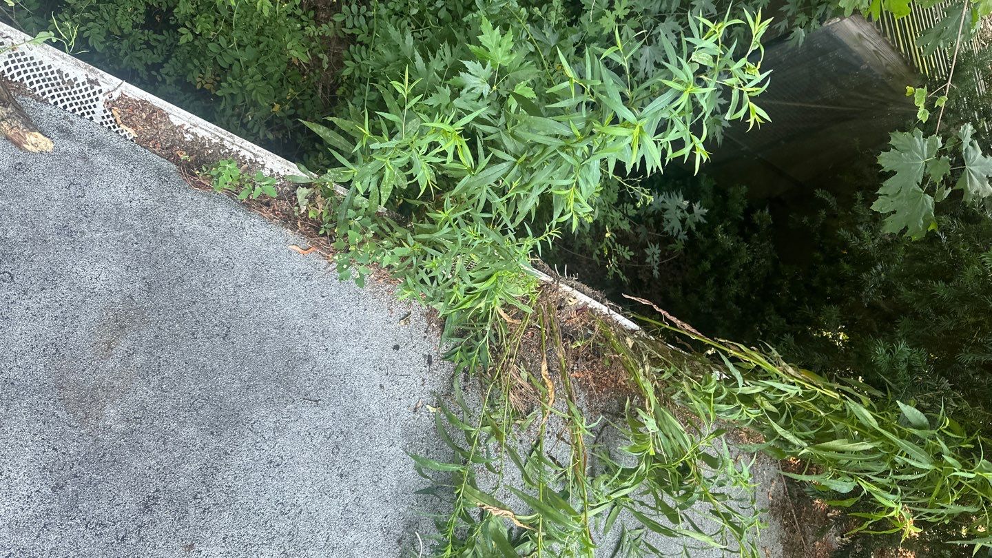 Very overdue gutter cleaning and screening by Above All Gutters 