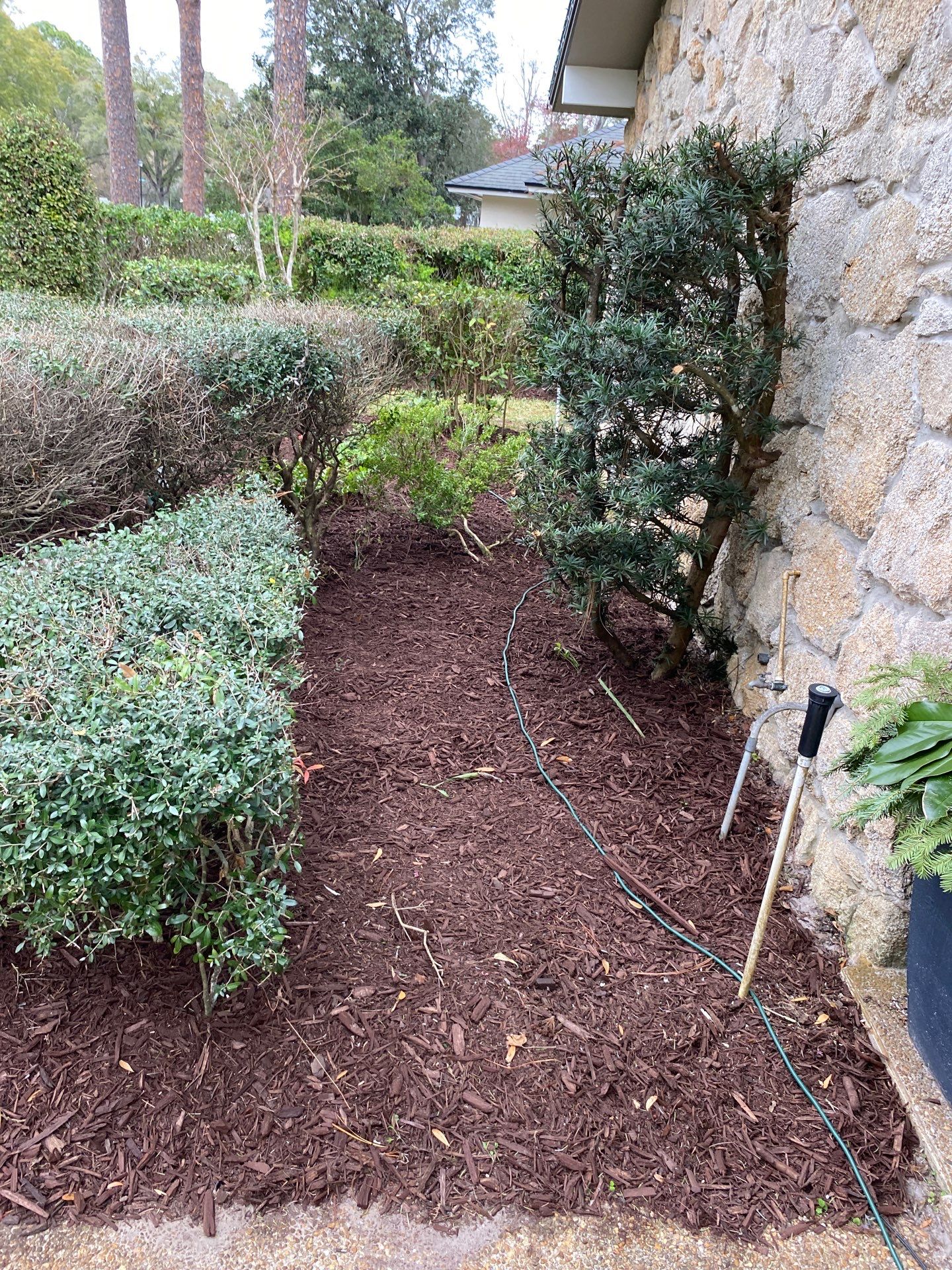 Deerwood Resident | Mulch Freshen Up Project by ProGreen Services