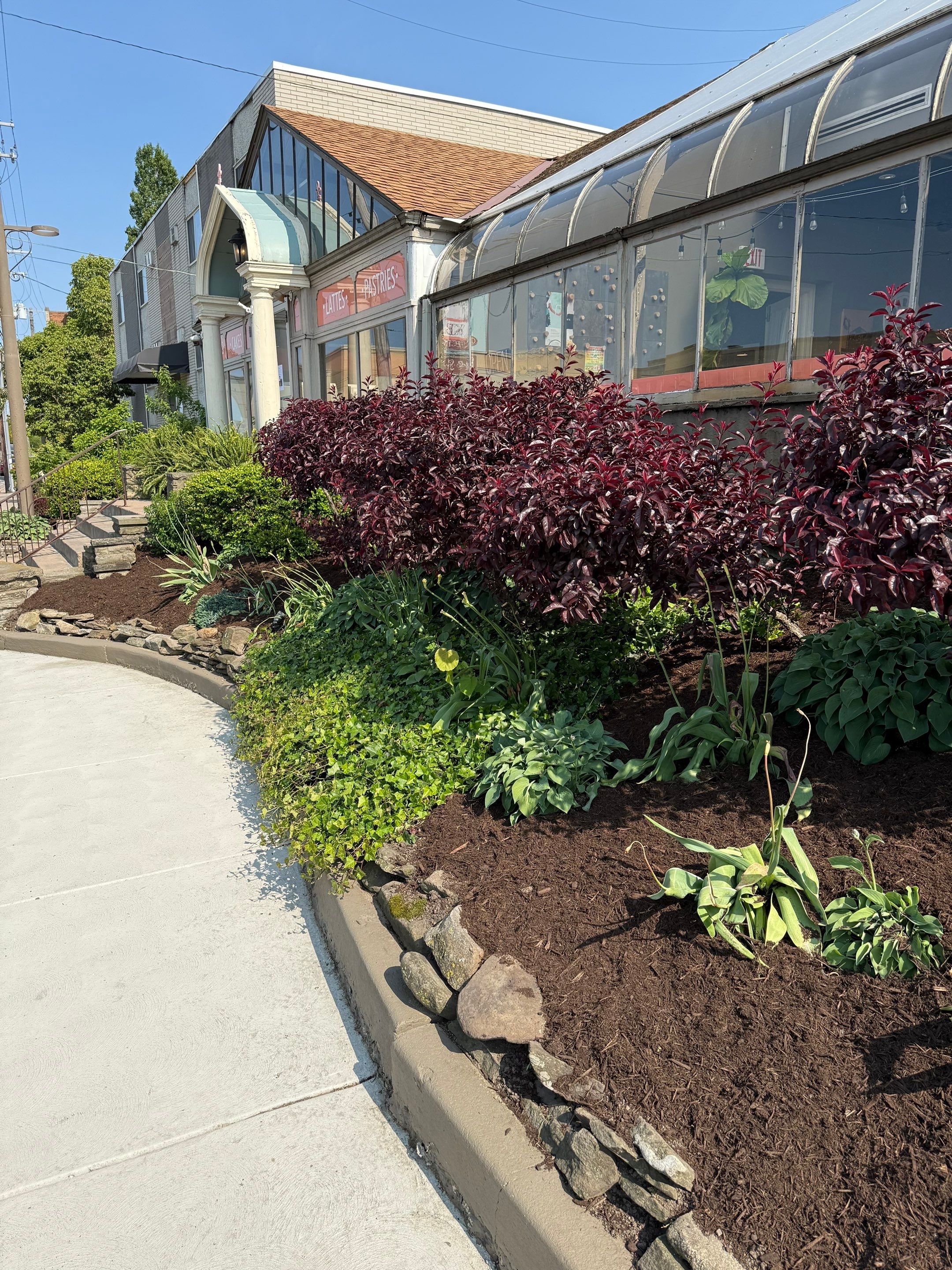 Bakery Commercial Install by Elm Rose Gardens