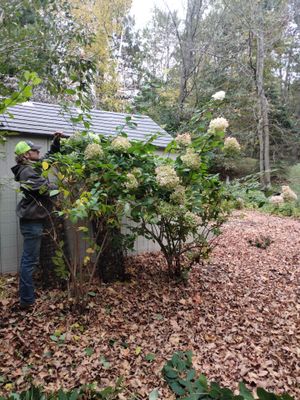 Project in Balsam Lake