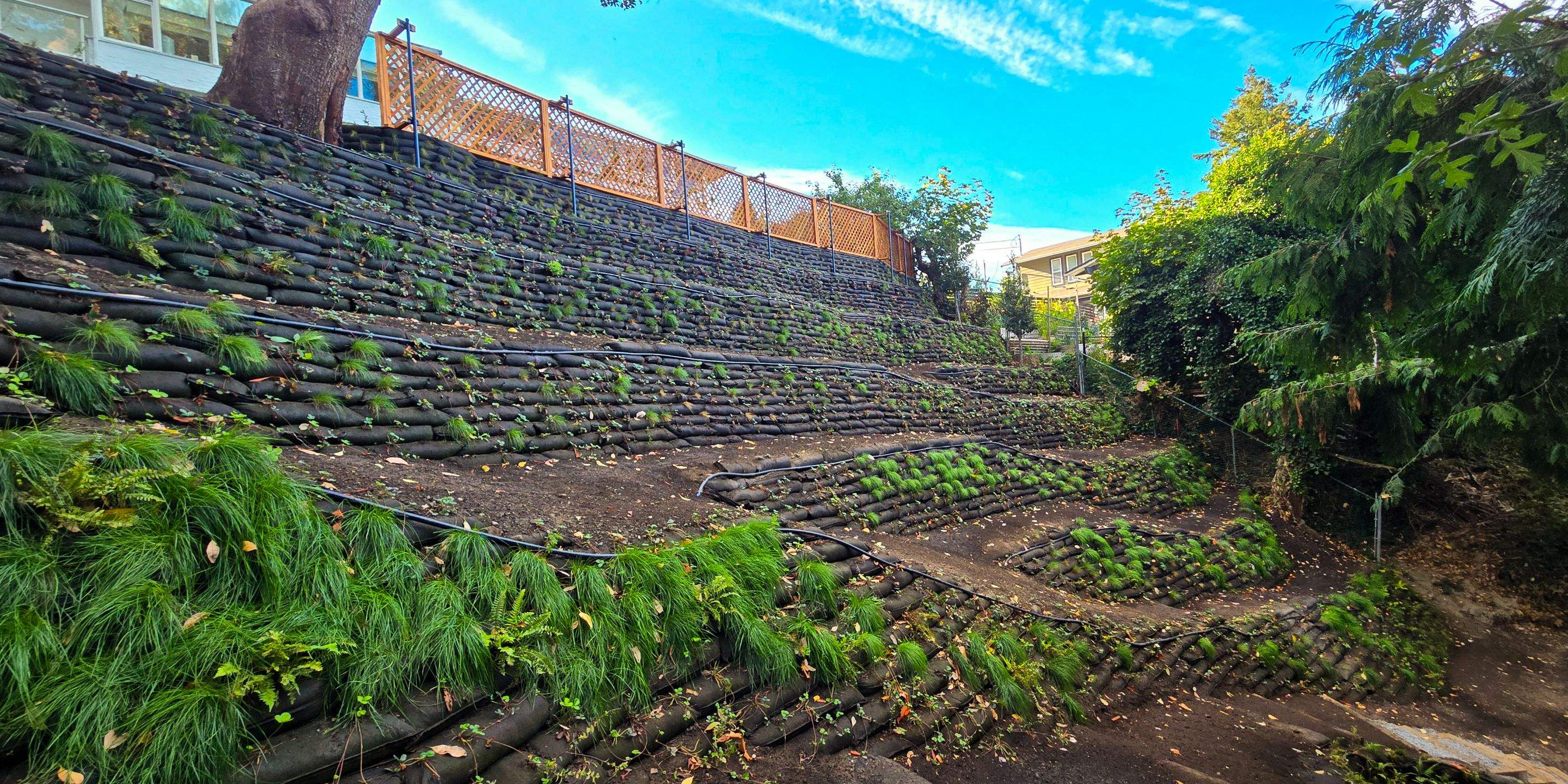 Georgia Park Terrace — Living Slope Transformation by Habanero Landscape Solutions