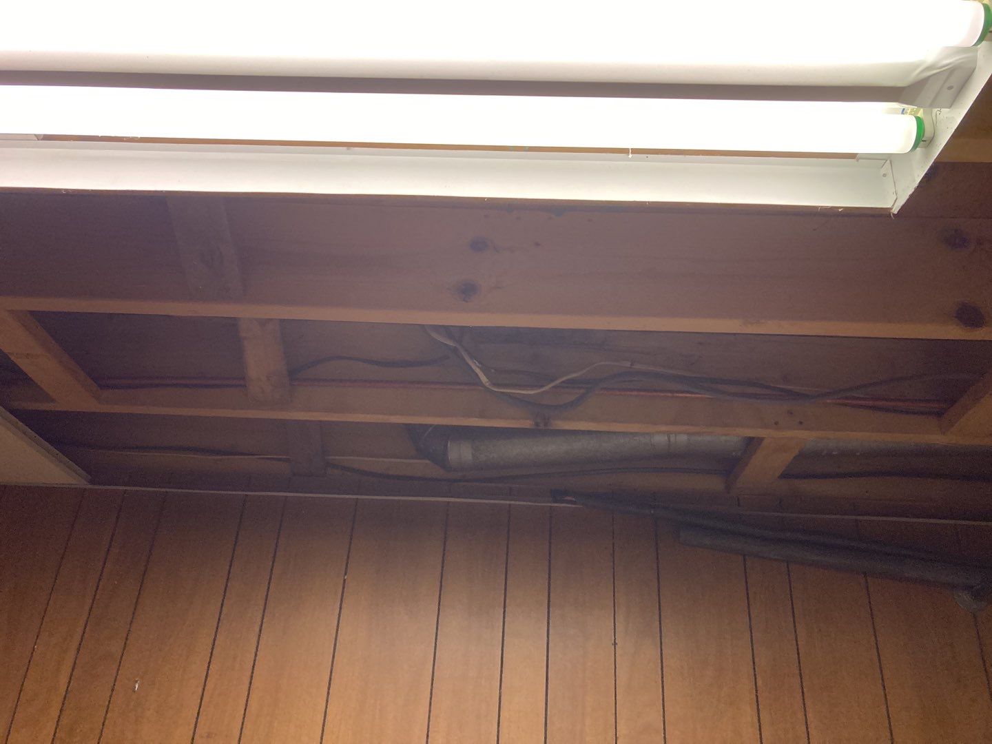 Mold Remediation using Containment by Accountable Home Services