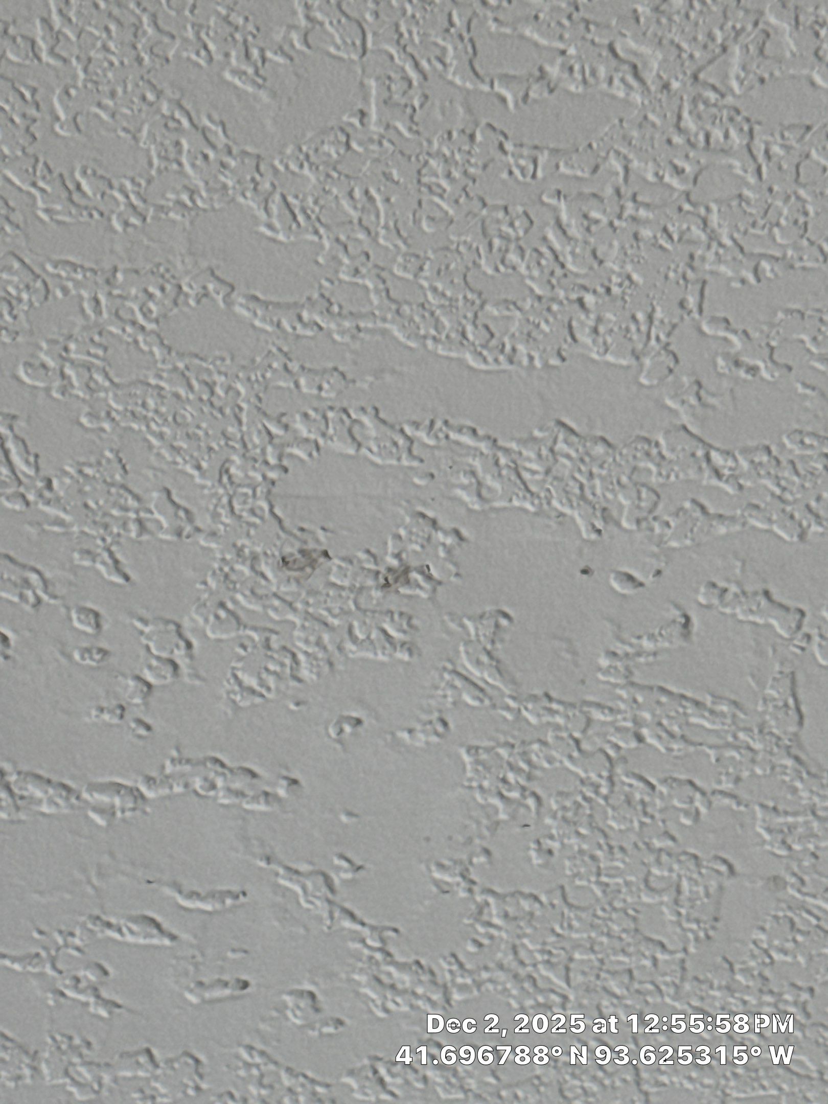 Project in Ankeny, IA by Midwest Paint LLC