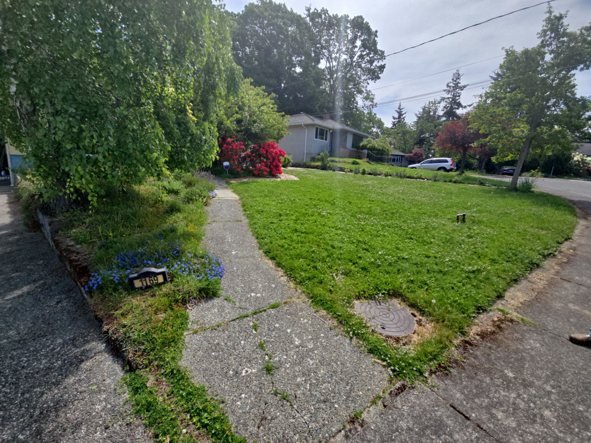 Front Yard Ecological Conversion – A West Coast-Inspired Low-Maintenance Oasis by Habanero Garden and Exterior Care