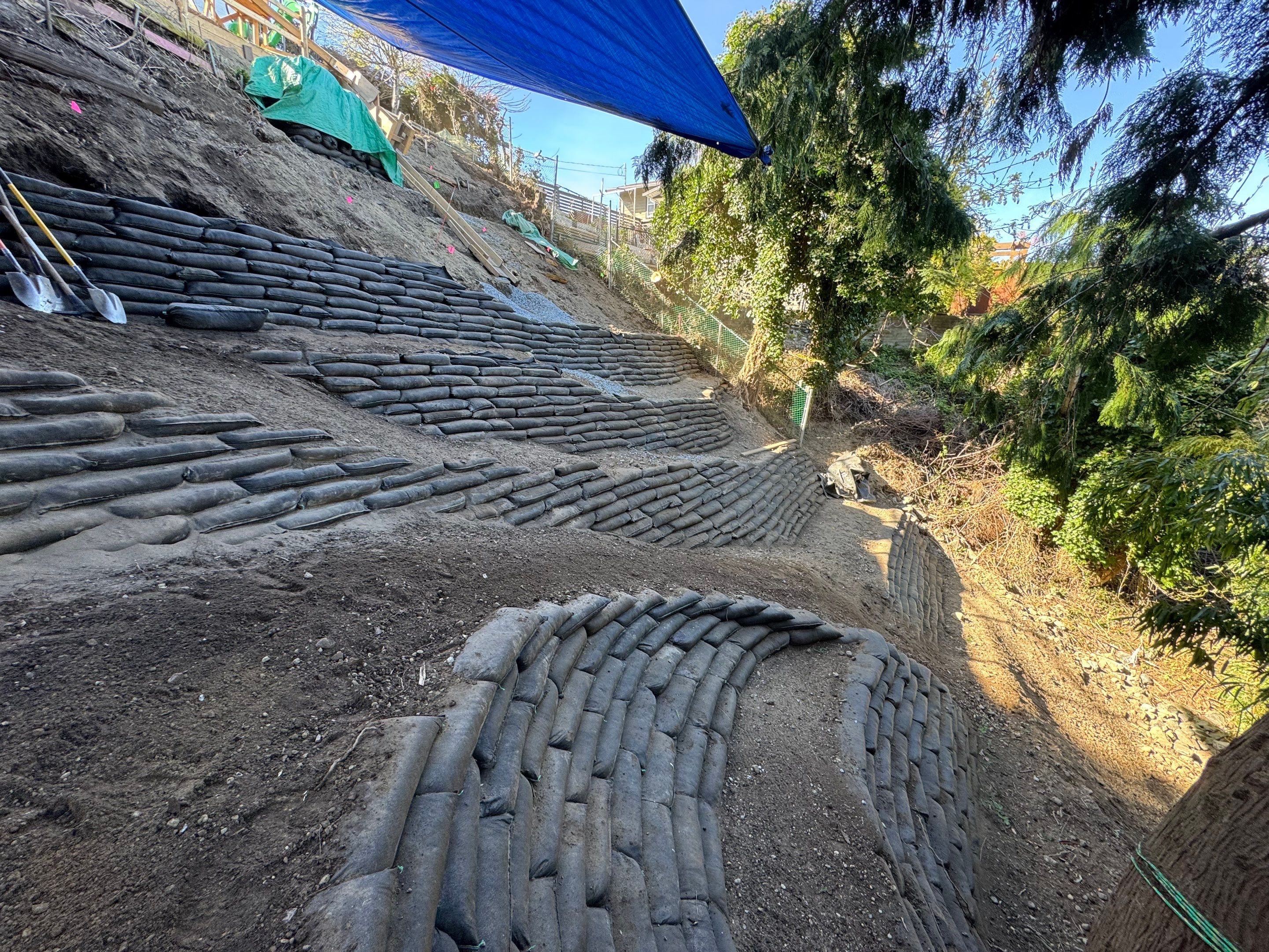 Georgia Park Terrace — Living Slope Transformation by Habanero Landscape Solutions