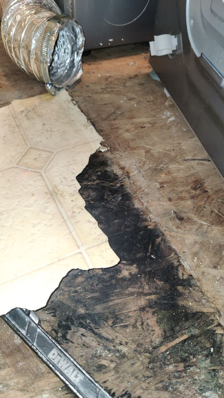 Water Damage  by Accountable Home Services
