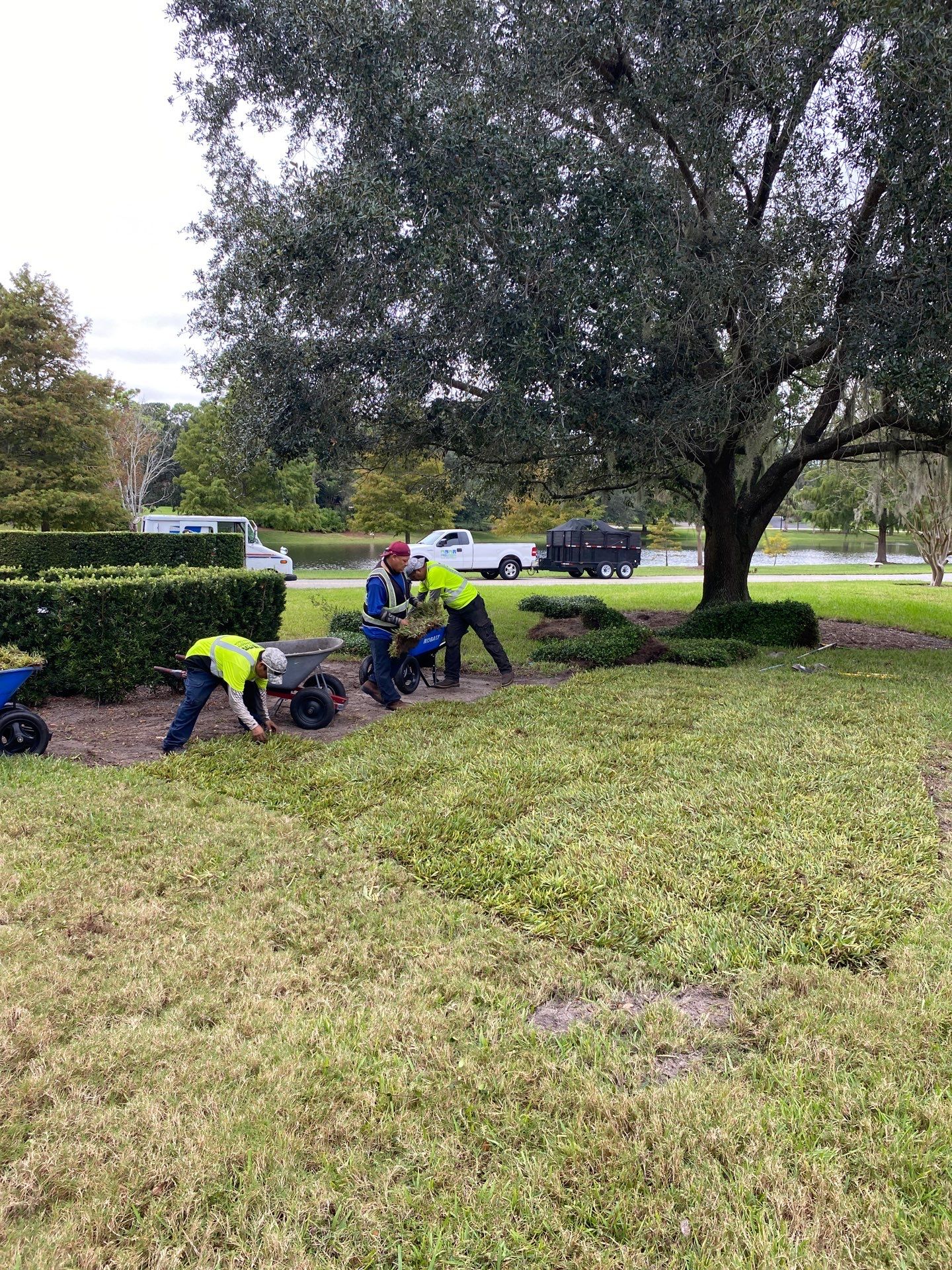 Deerwood Community | Island Landscape Replacement by ProGreen Services