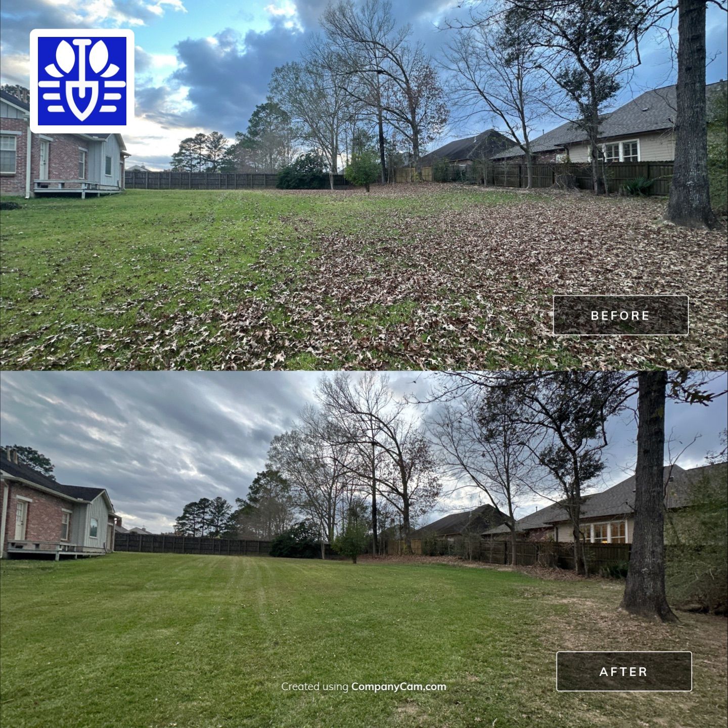 WINTER SERVICES: FULL LEAF JOB using  Leaf Removal by CutScape, LLC.