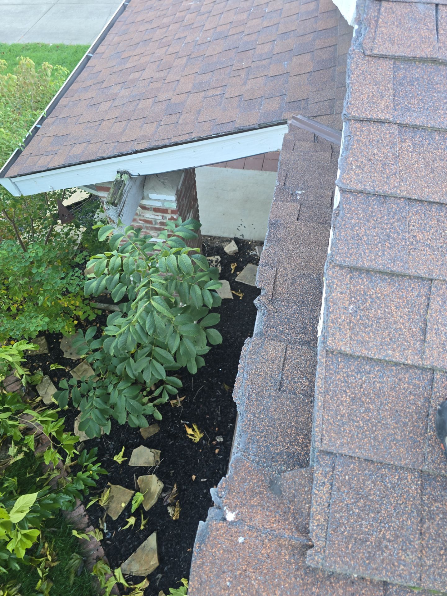 Roof Rejuvenation using Roof Maxx Treatment by Roof Maxx of Folsom
