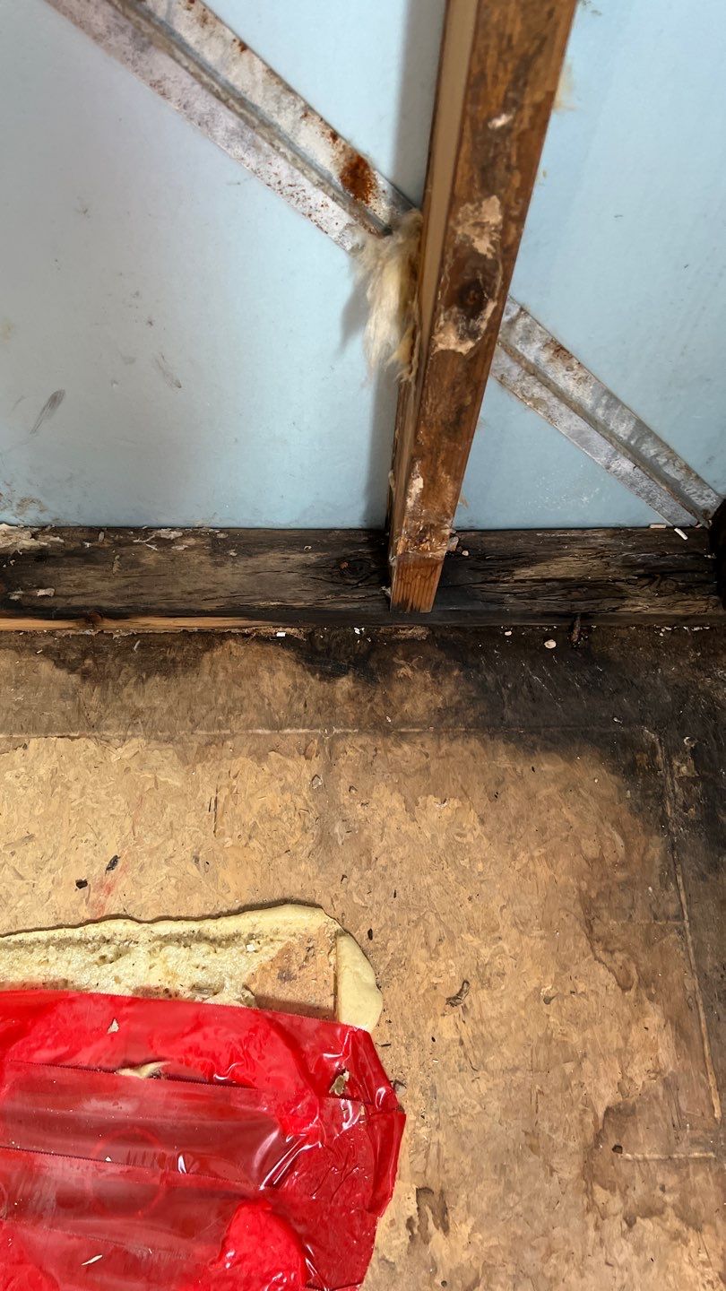 Water Damage and Mold Remediation by Accountable Home Services