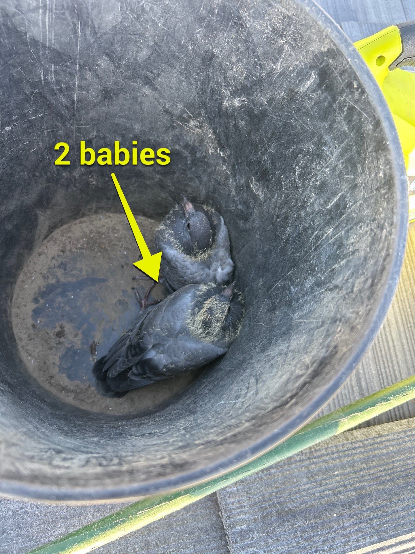 THE WORKS by D&A SOLAR CLEANING