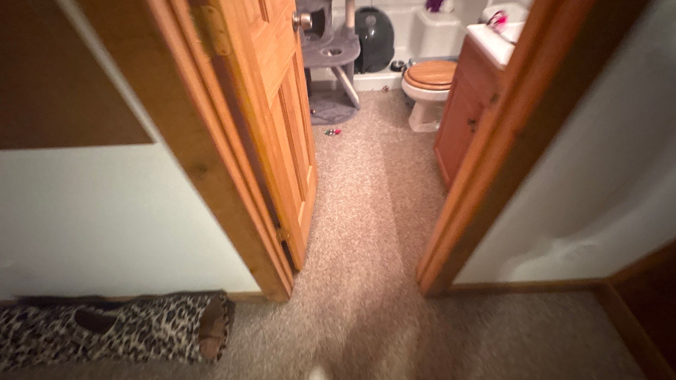 Basement Floor Remodel with Haven Reno KC by Big Red Decorative Concrete, LLC