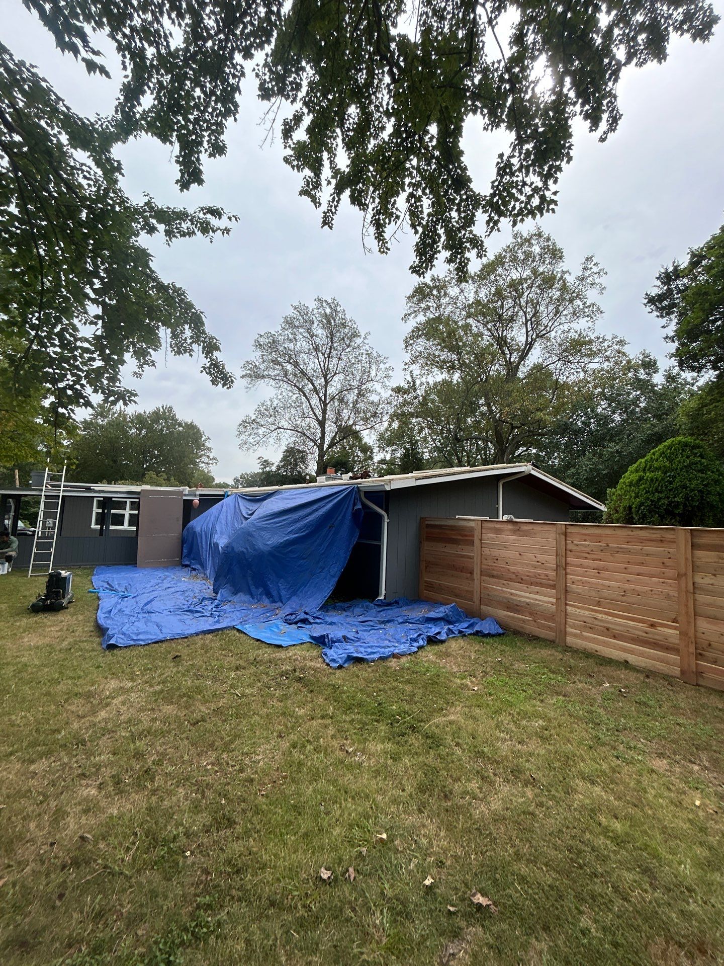 Falls Church :  TPO by RM Banning, Inc.