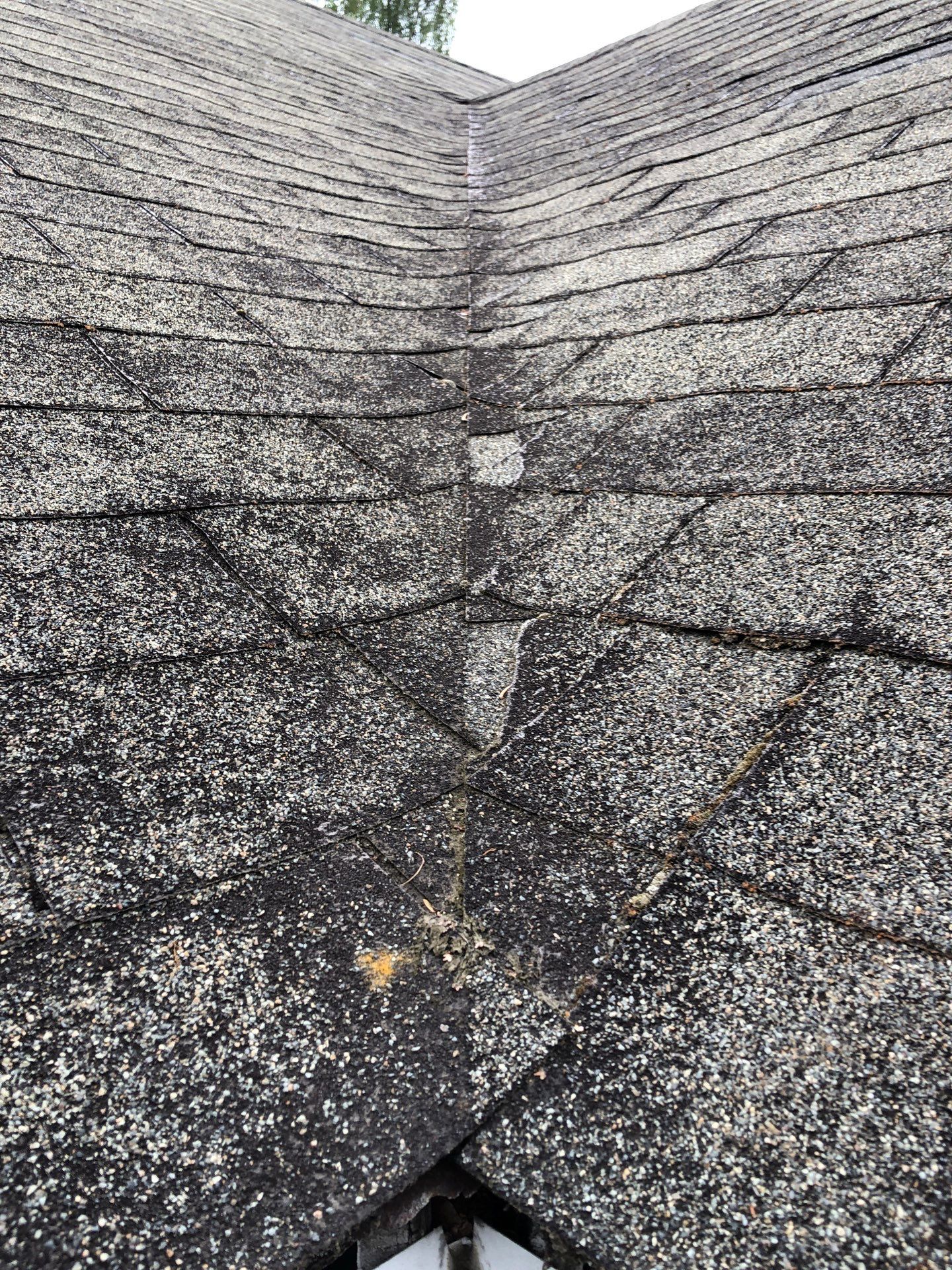 Project in Seattle by Connolly Construction Company