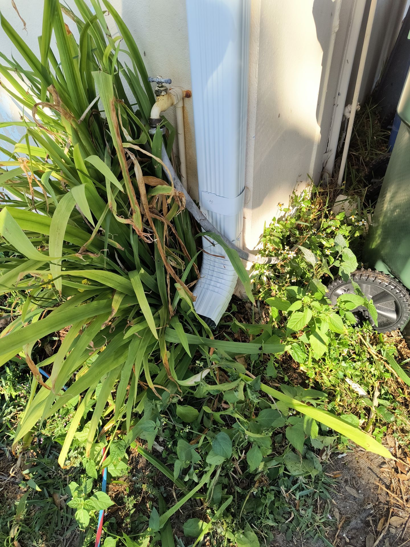 White Soffit and Fascia Upgrade in Sarasota FL by Gutter Professors