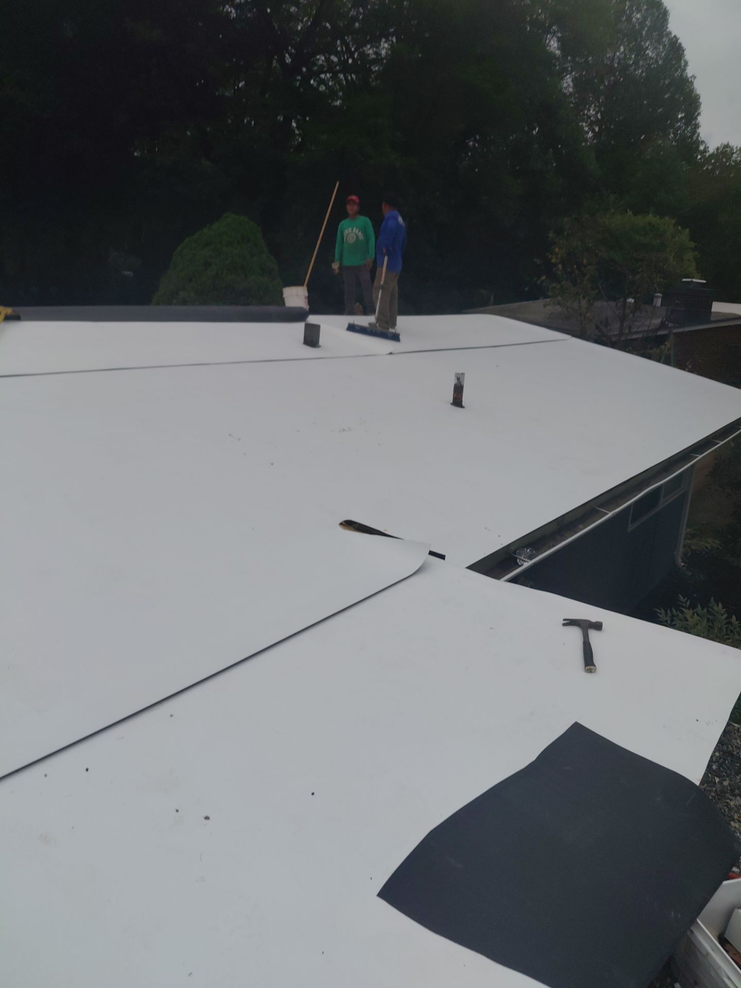 Falls Church :  TPO by RM Banning, Inc.