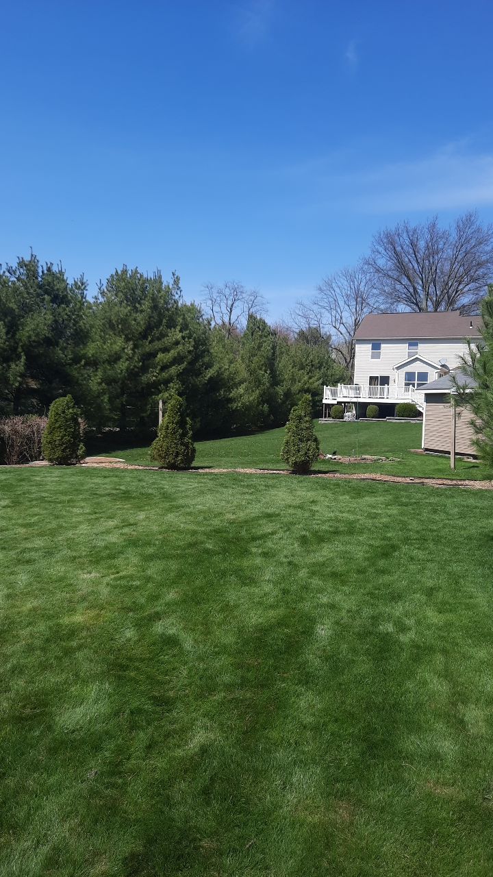 Tree Removal using Tree Removal by Mike Jones & Sons Tree Service LLC 