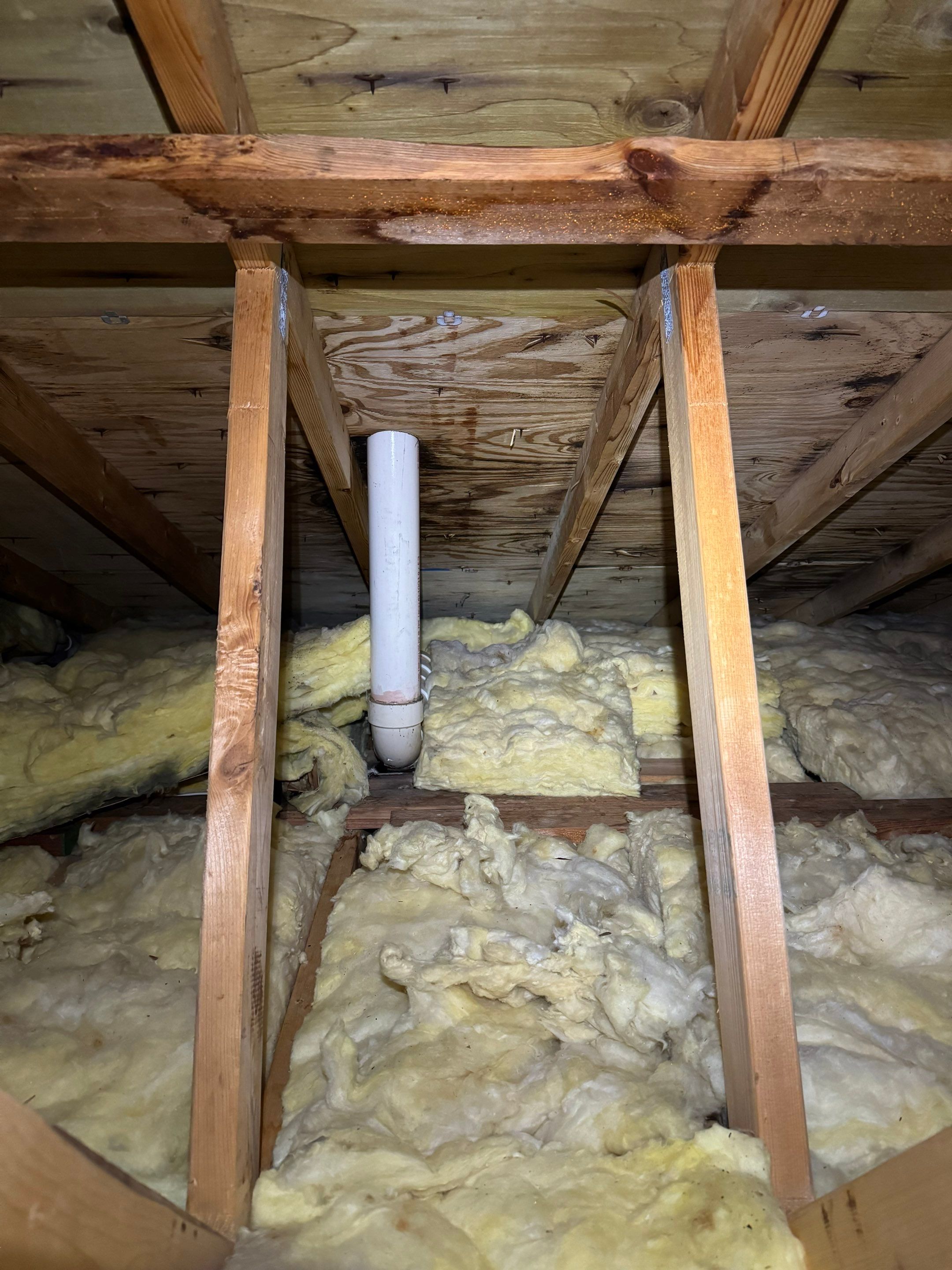Attic & Sunroom Mold Remediation by Home Guarantee, LLC