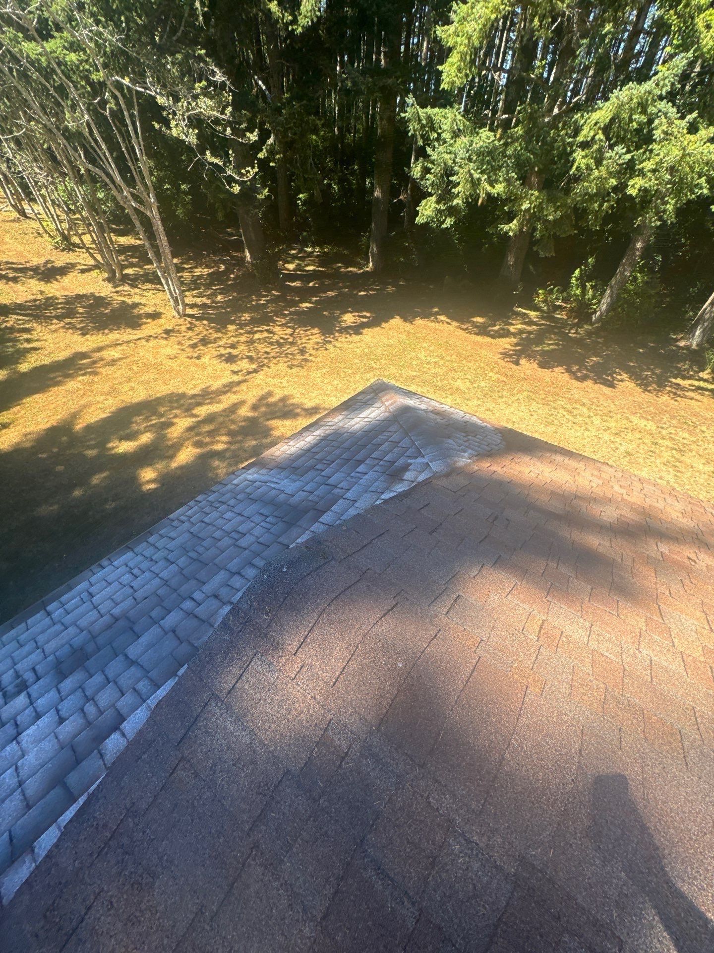 Project in Bandon by Roof Maxx of Grants Pass