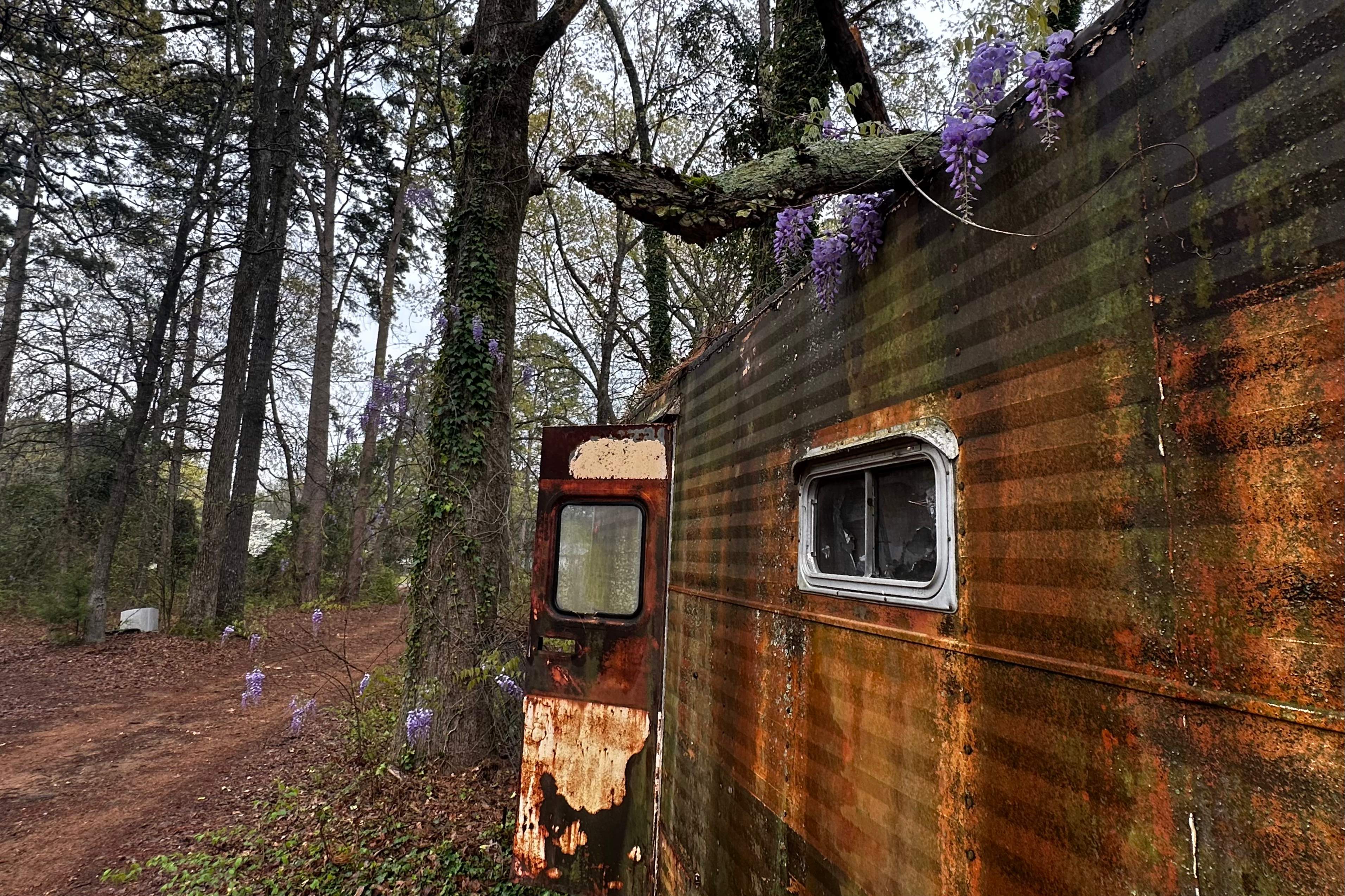 BeeGirl ETX HQ by Rockwall Honey Bee Company