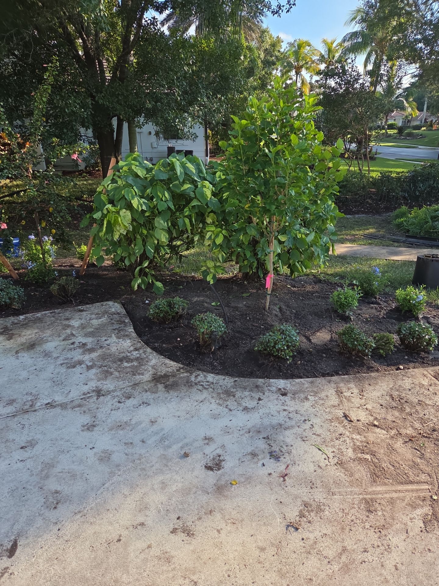 🌴 Landscape Removal and Install in Palm City by Alpha Zeta Enterprises Inc