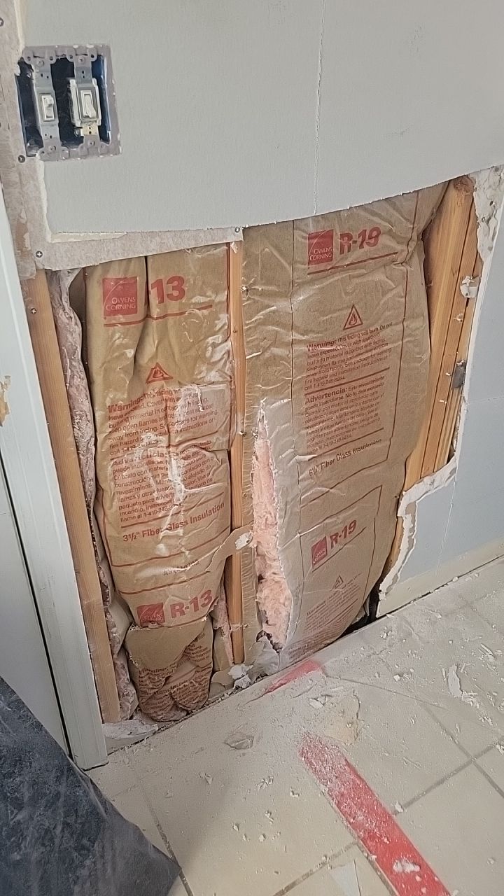 Mold Remediation  by Accountable Home Services