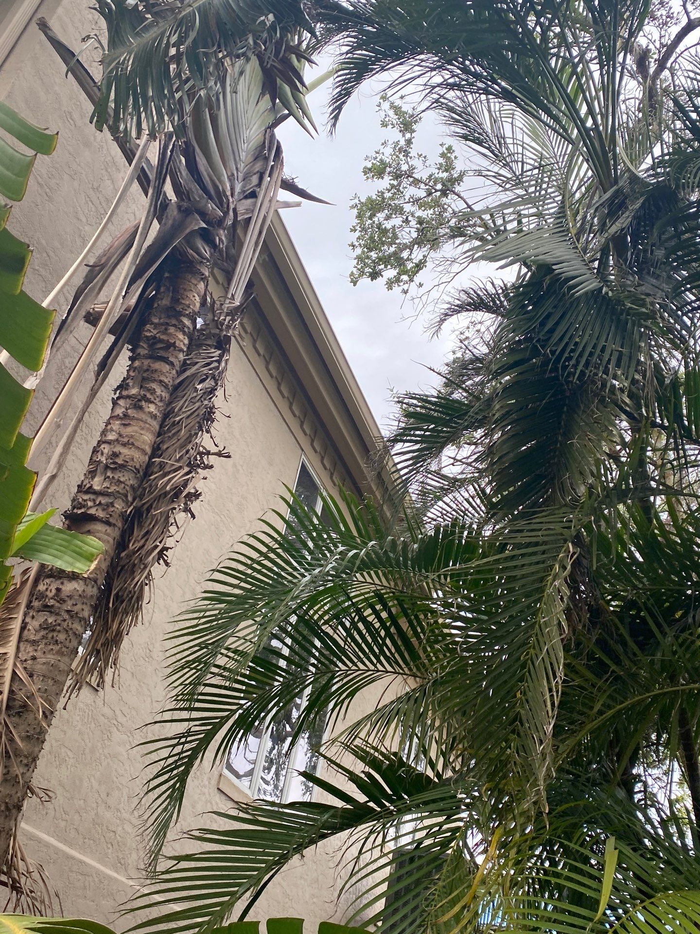 Seamless Gutters in Sarasota FL by Gutter Professors