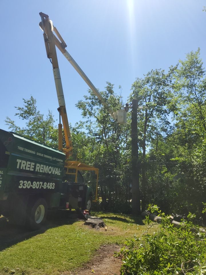 Tree Removal using Tree Removal by Mike Jones & Sons Tree Service LLC 