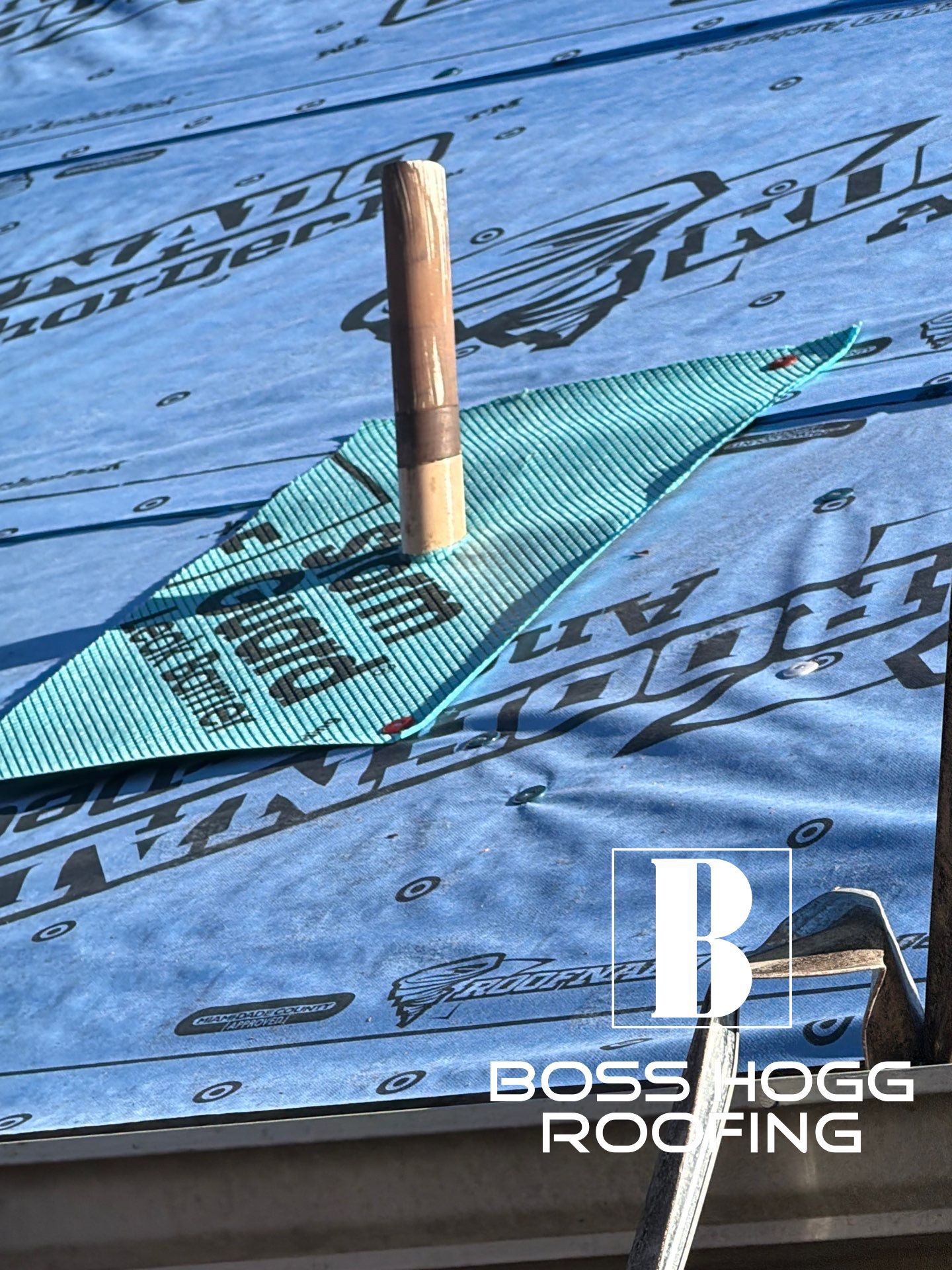 NOMI B. by Boss Hogg Roofing