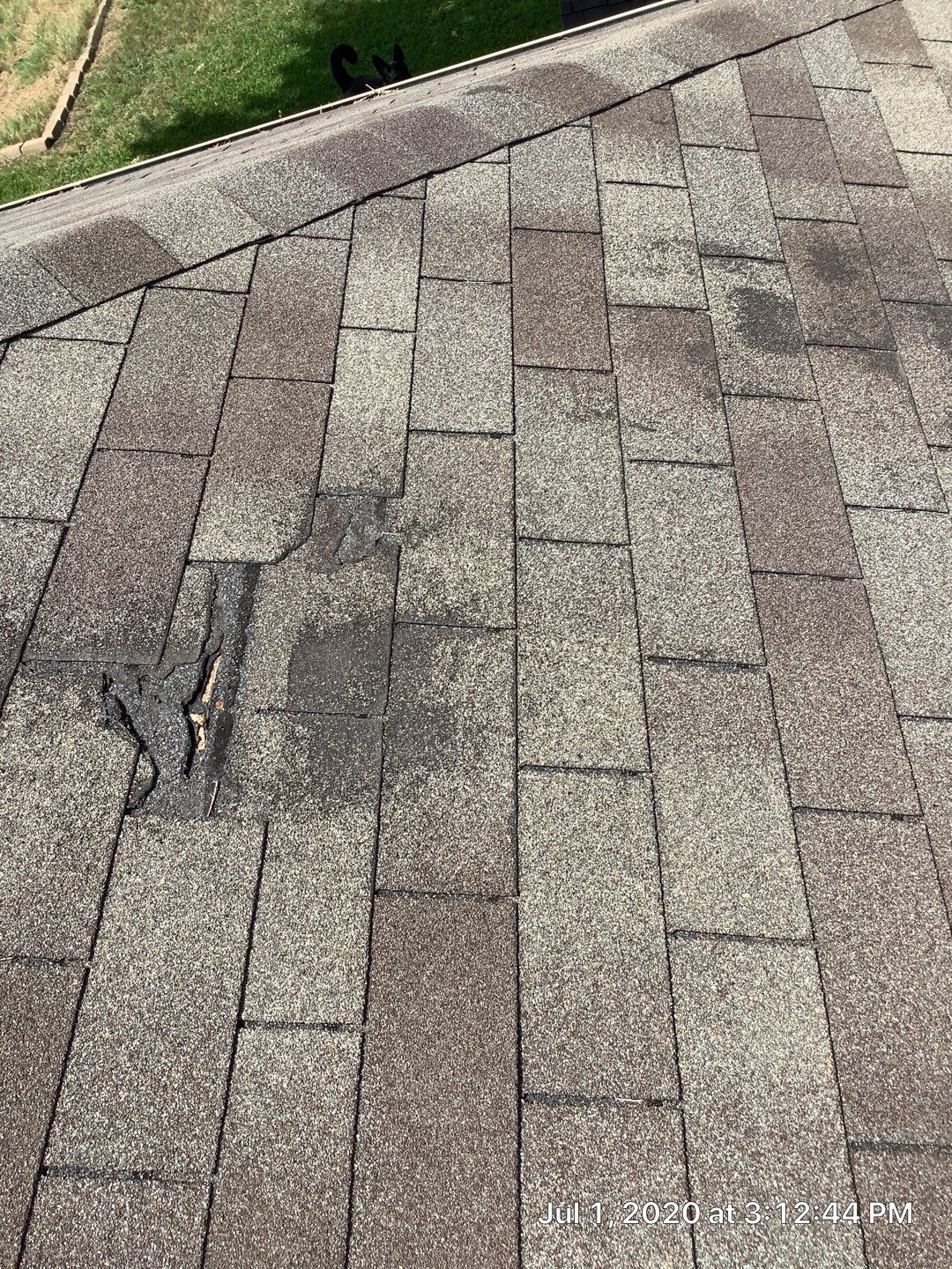 Residential Roof Repair by Springtree Restoration
