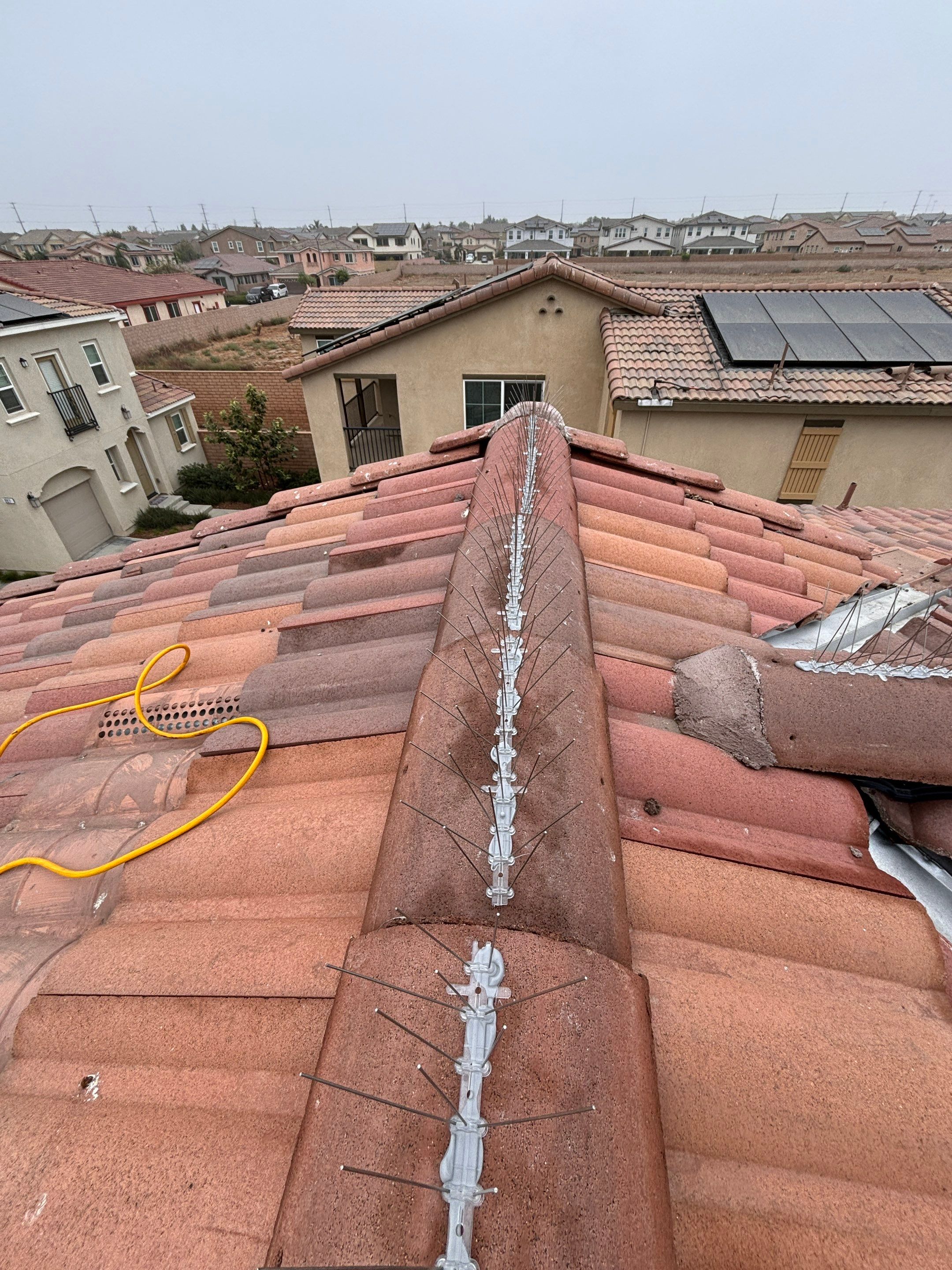 Solar Panel Bird Proofing in Fontana Ca by Palm Coast Solar Cleaning