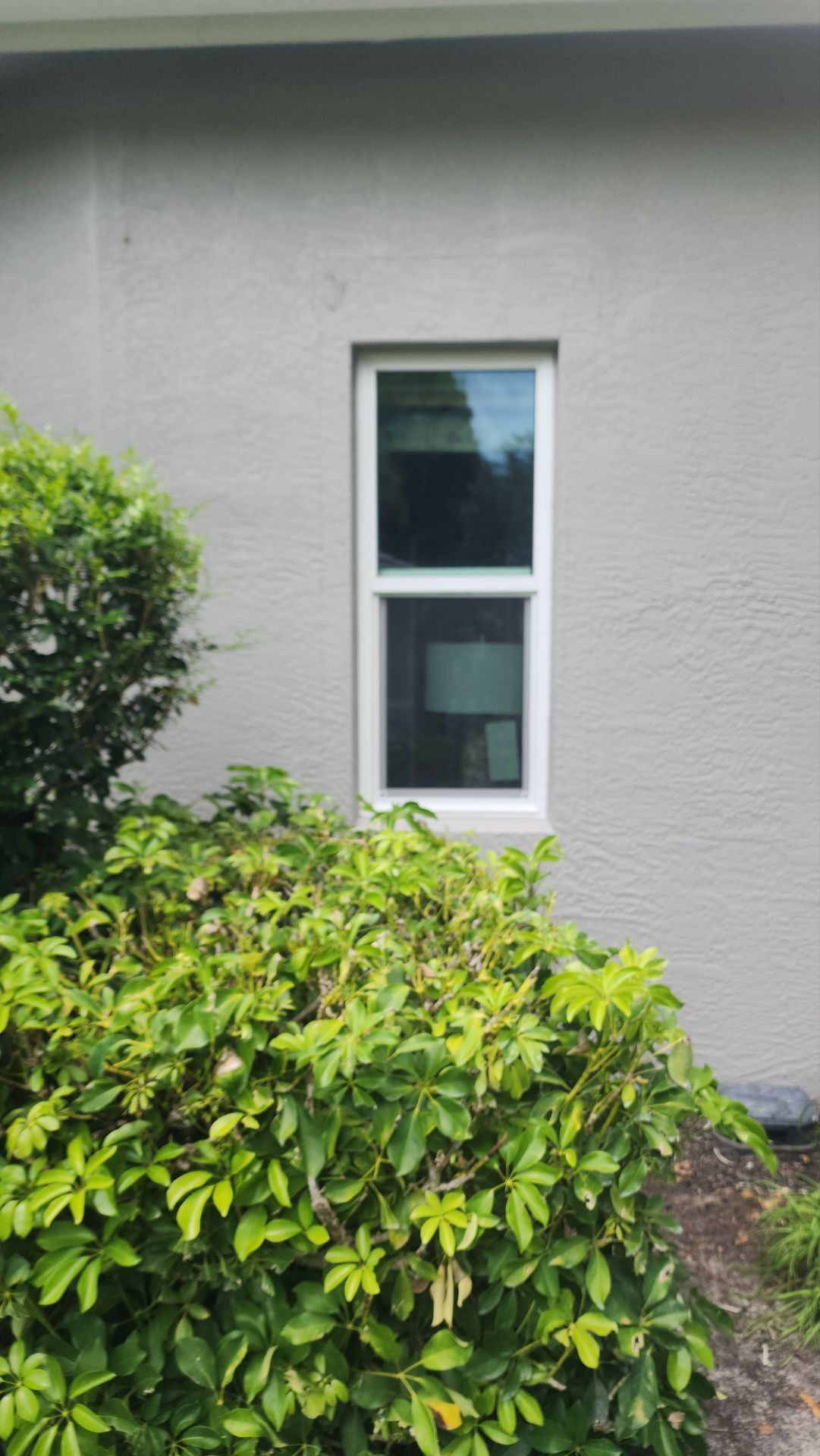 Window Installation using PGT by Windows For Life 