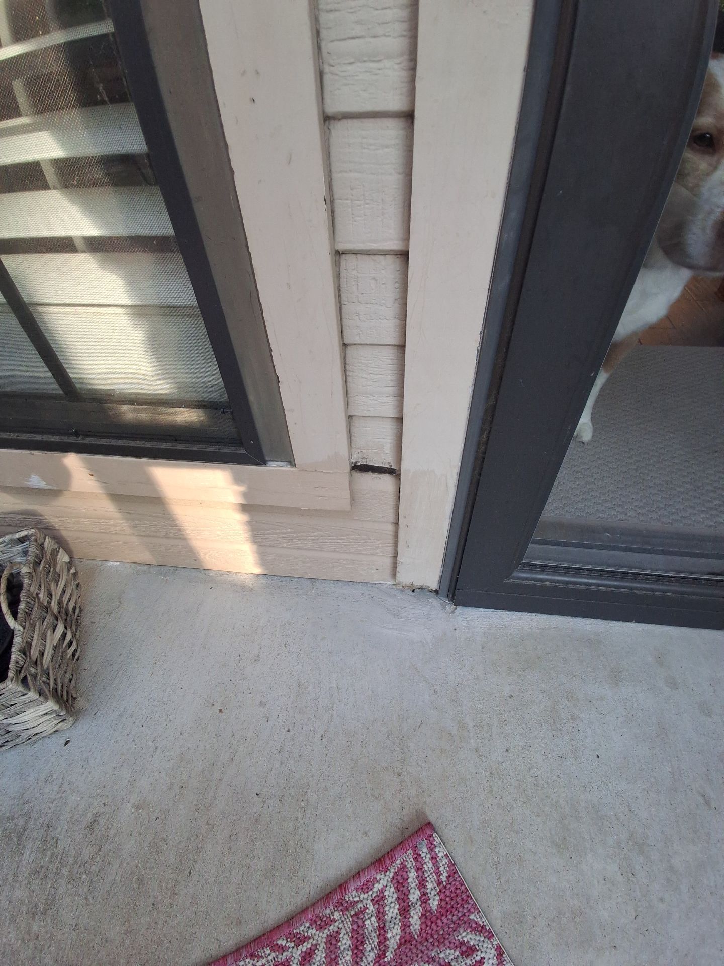 One Longview Home, Plenty of Fresh Finishes by Quality Coats Painting