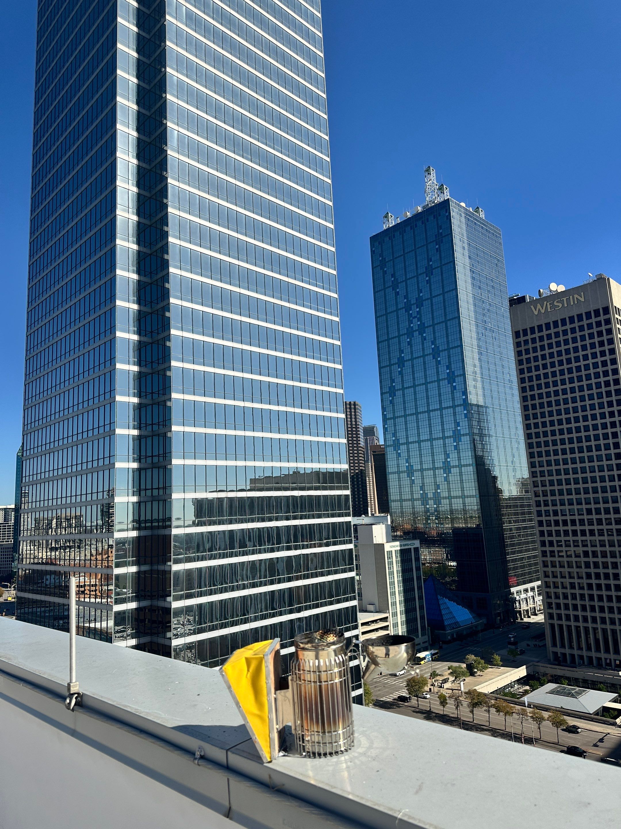 Downtown Dallas by Rockwall Honey Bee Company