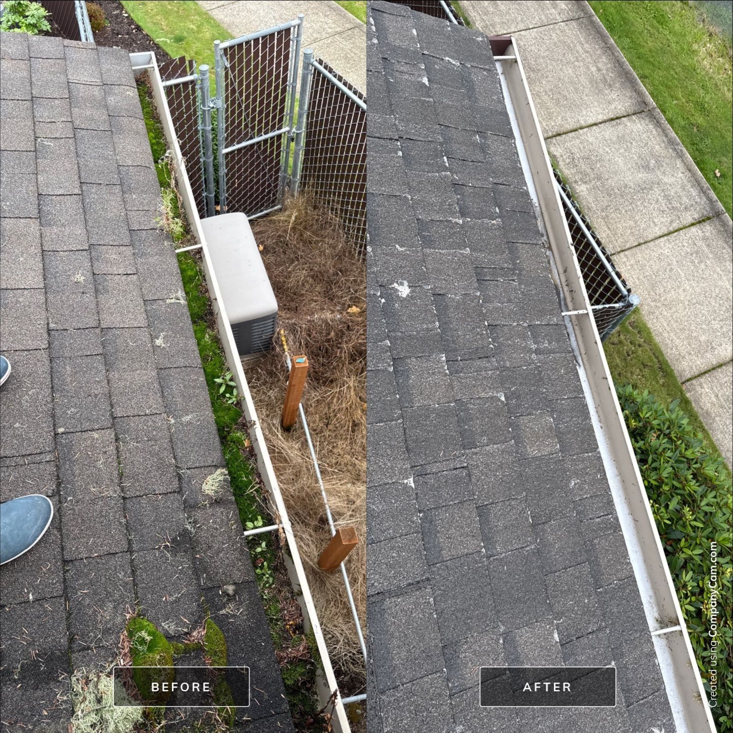 Animal Shelter Deep Clean: Roof Restoration & Concrete Surfaces by Rolling Suds of Oregon Coast – Salem