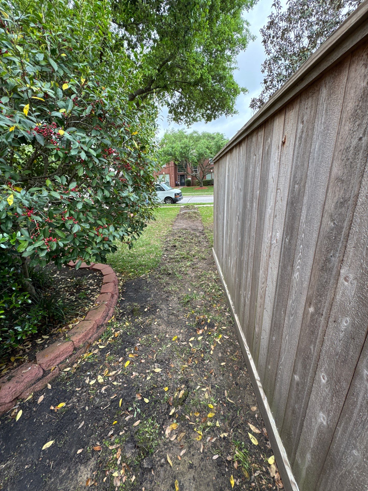 🌿 Mrs. Coleman’s Lawn & Drainage Restoration by Texas Urban Elements