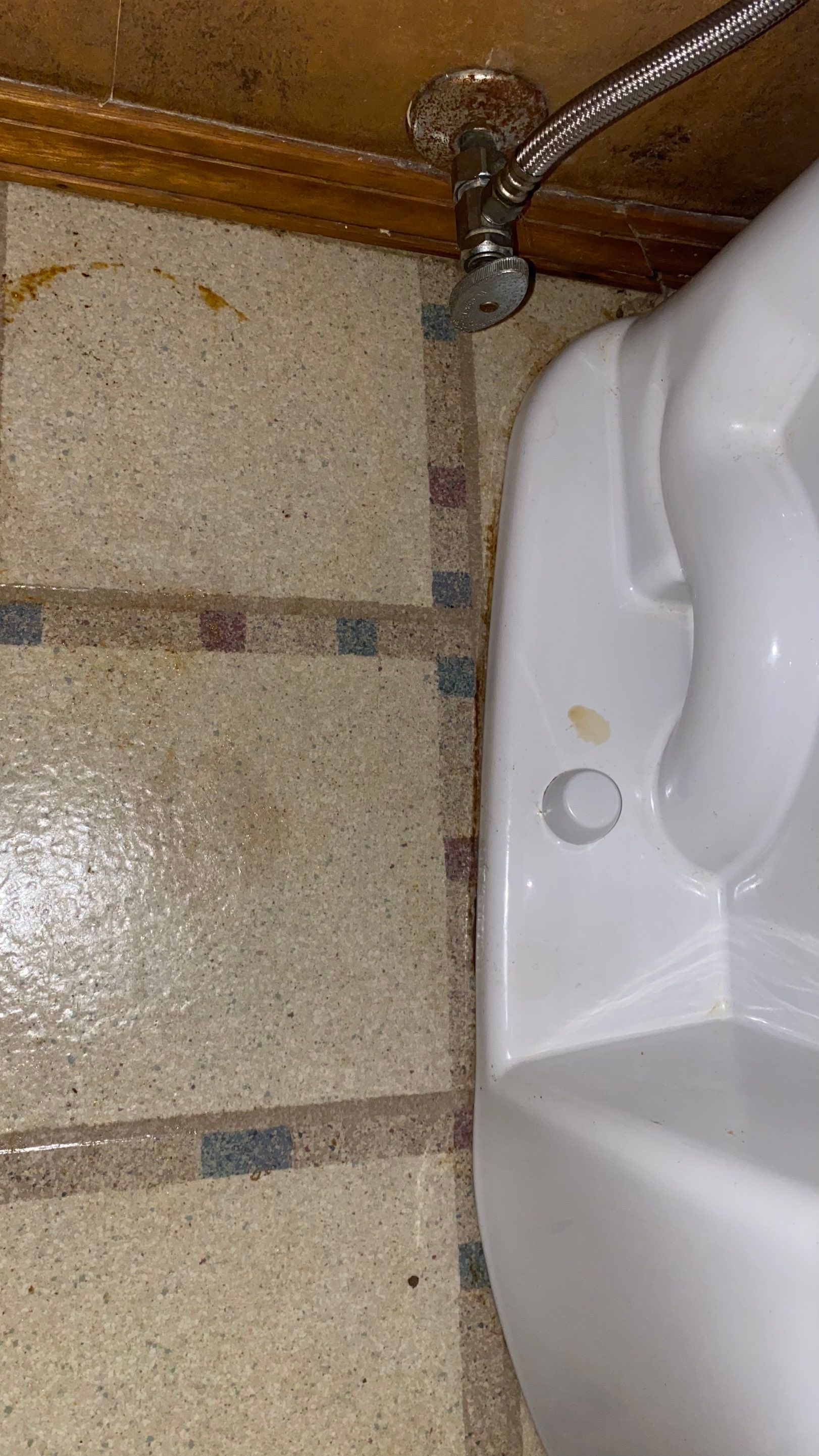 House cleaning in Lake Oswego by Cloud 9 Professional Cleaning Services