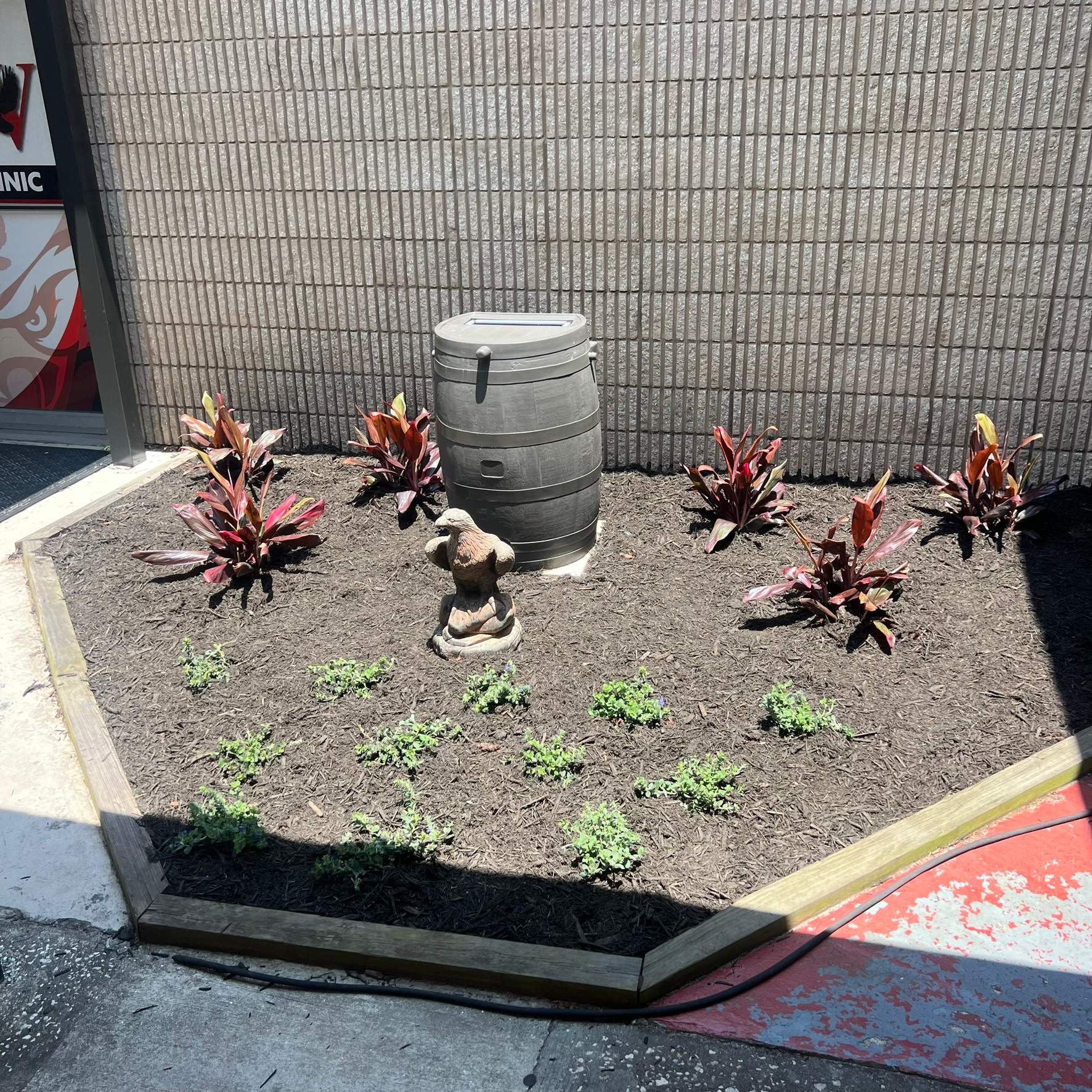 Landscape Install | Wilkinson JHS by ProGreen Services