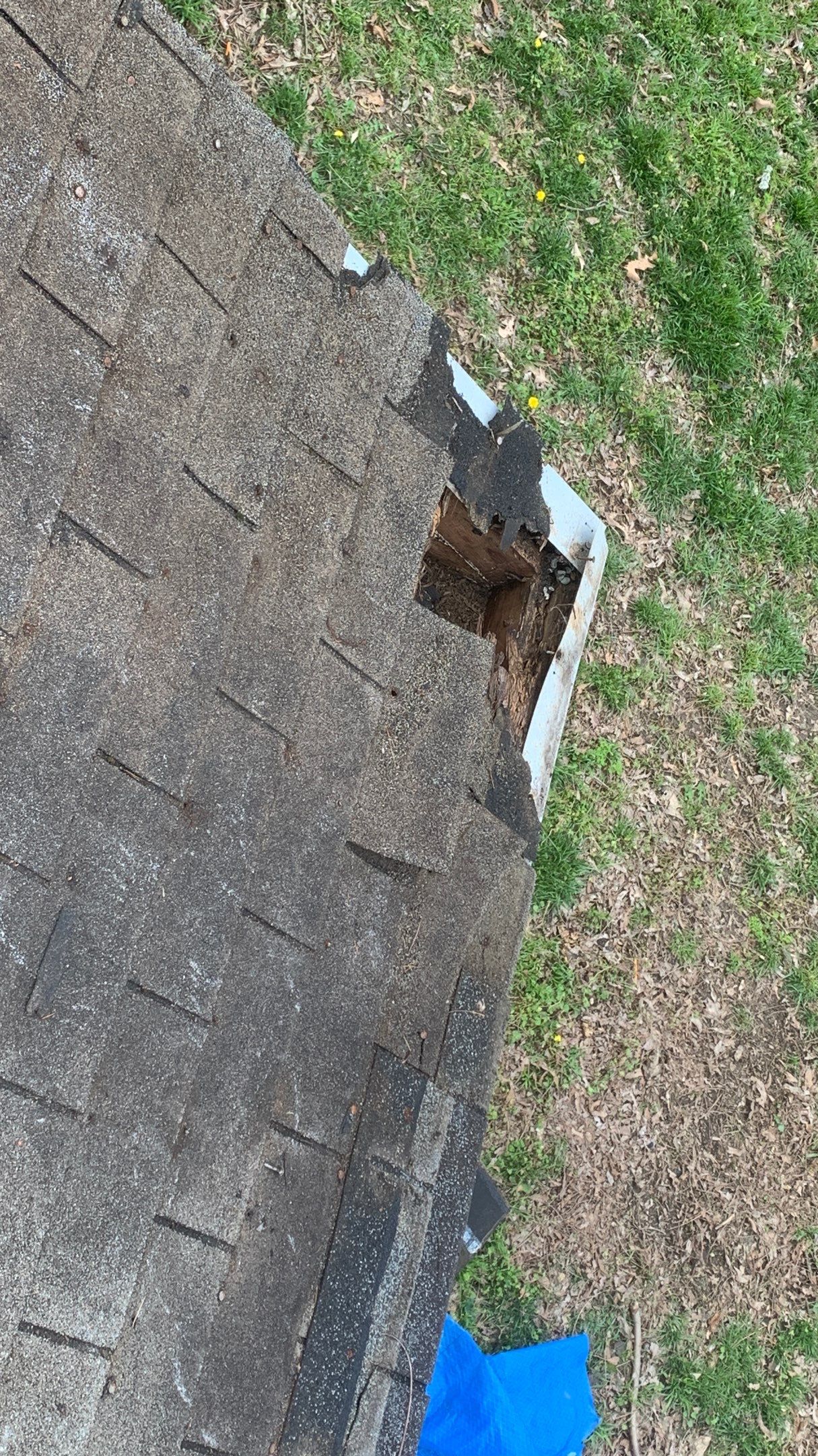Residential Roofing Installation using 26 Gauge Colored Panels by Hostetler Roofing