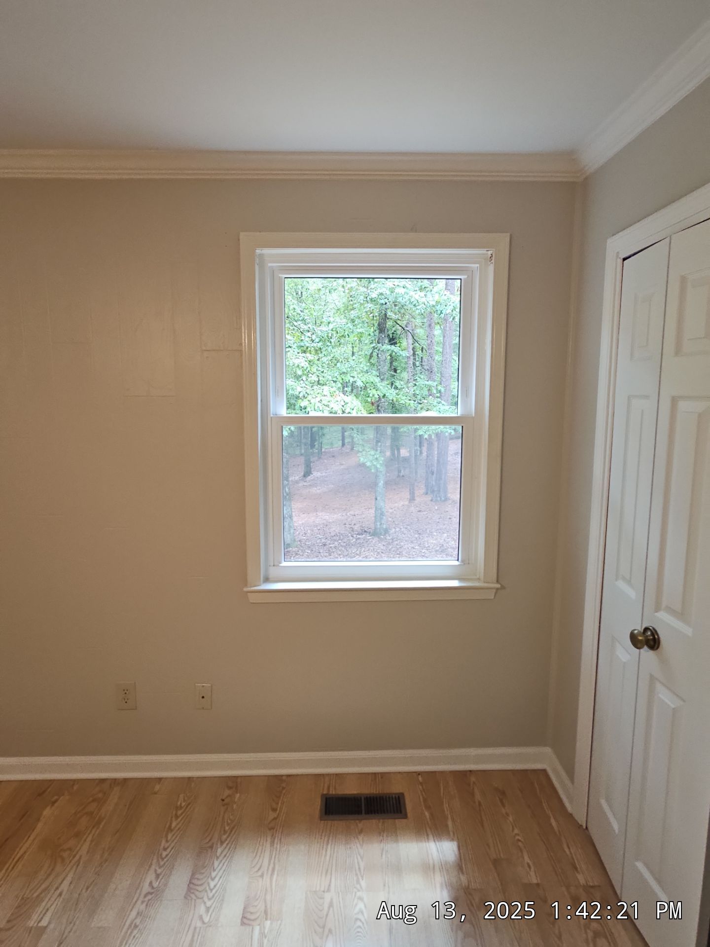 Reed Project in Chelsea by The Window Source