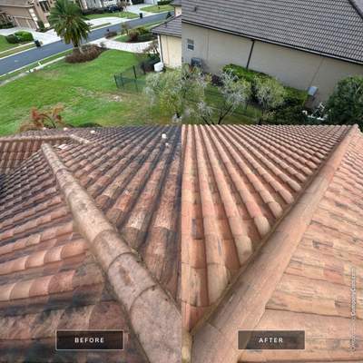 Tile Roof Cleaning