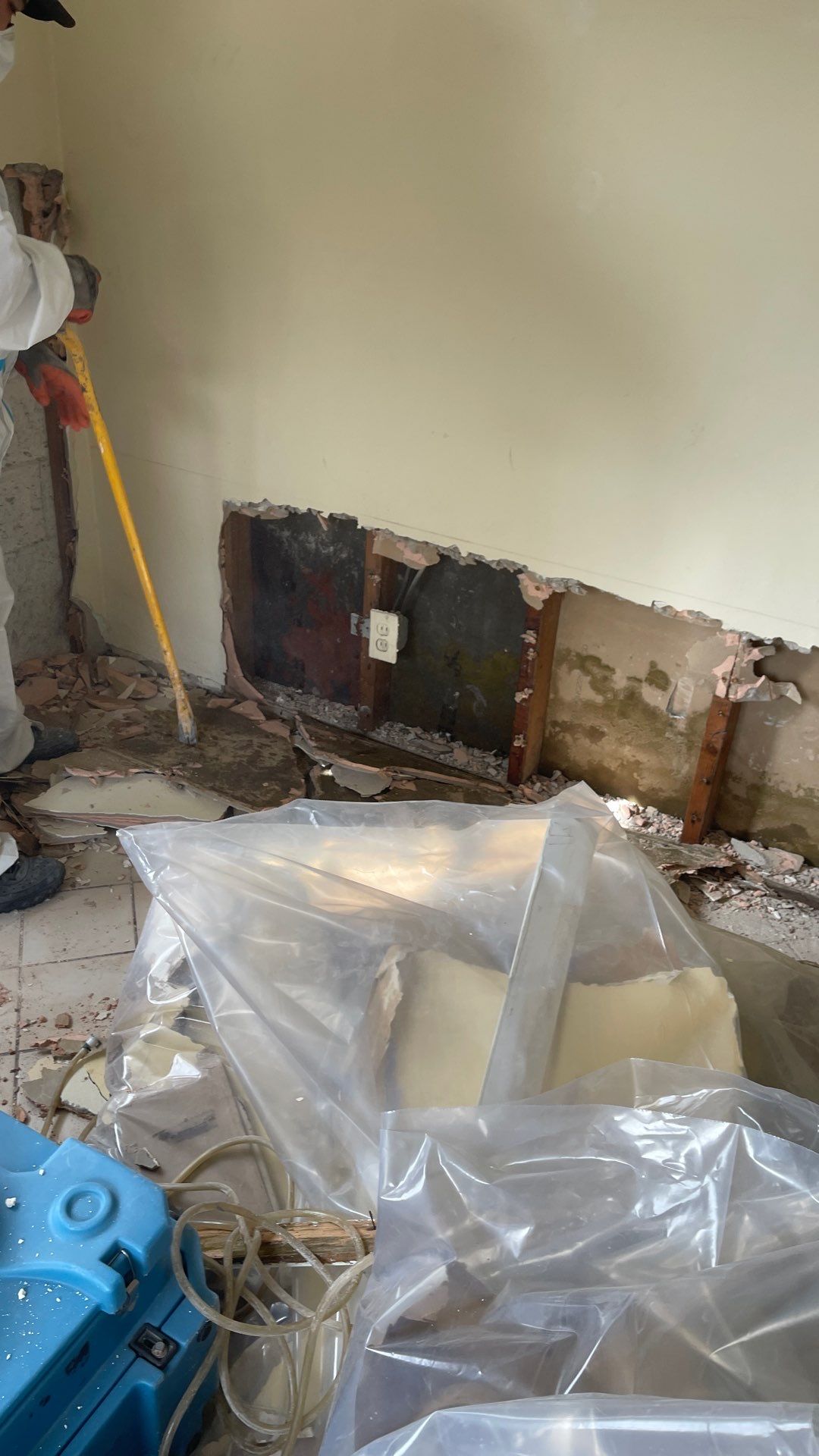 Mold Remediation  by THE RAPID TEAM