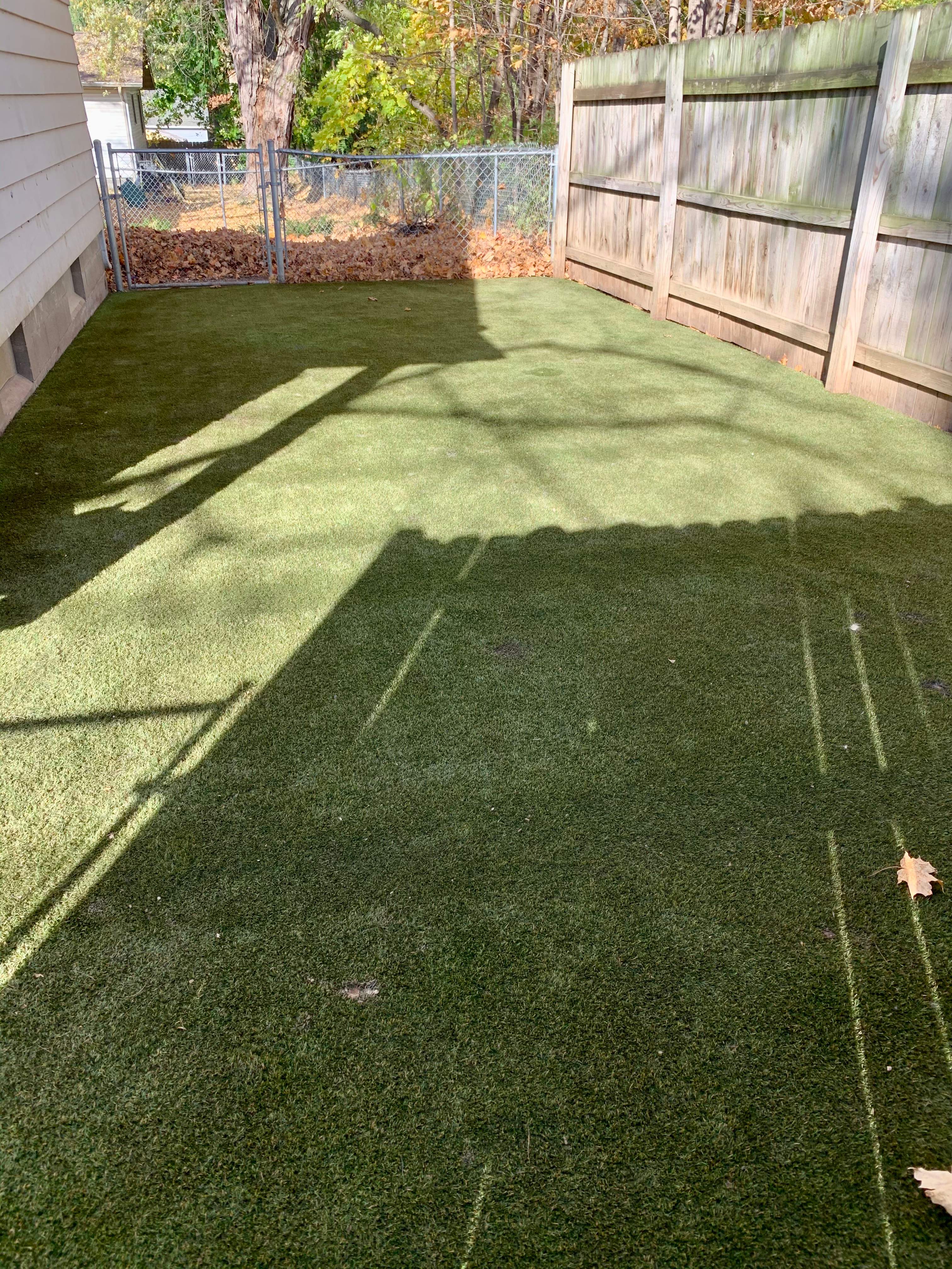 Top Notch Grooming by ForeverLawn NEIN/INDY