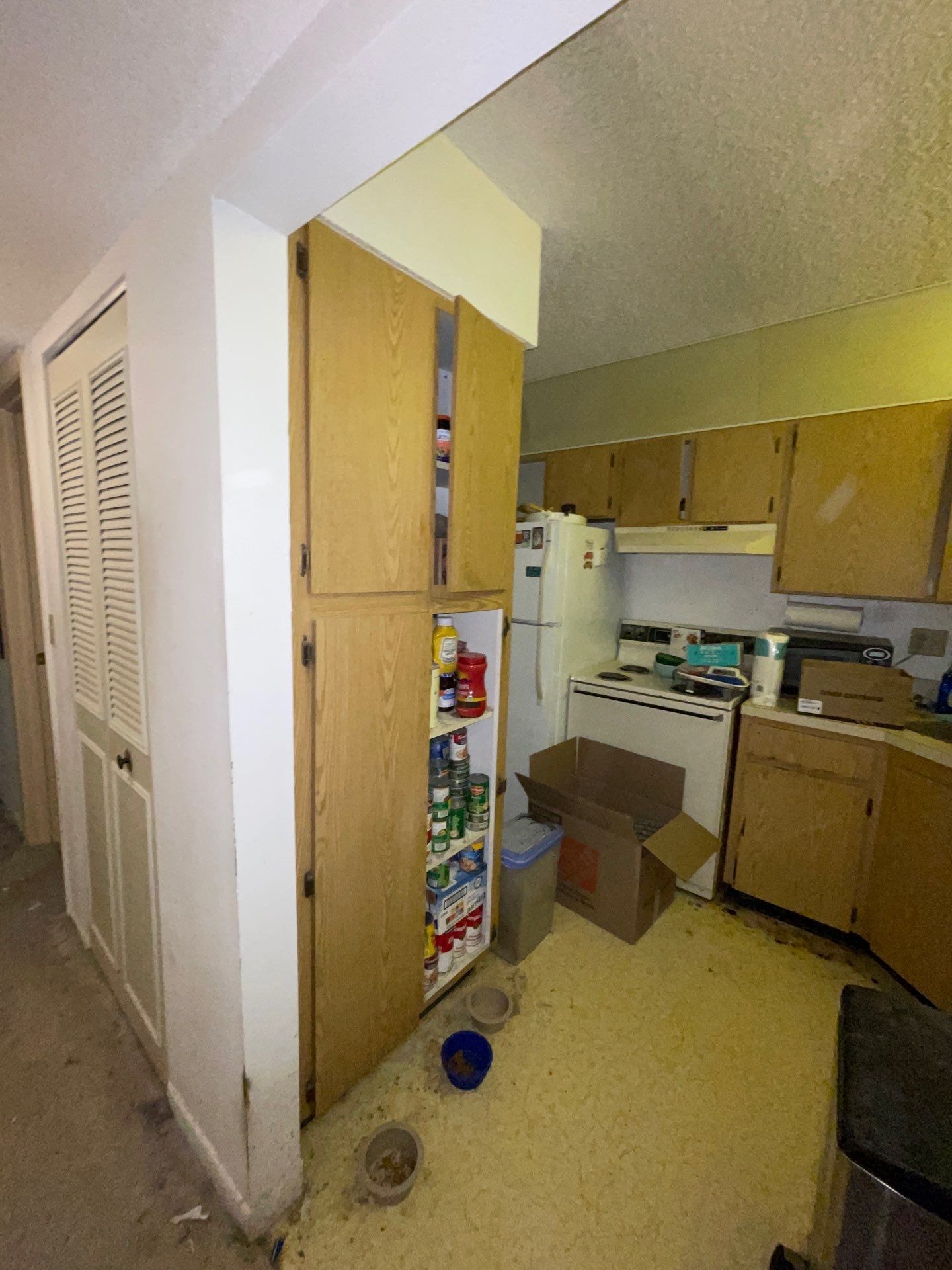 Horder house with Mold and Bacterial Contamination Issues  by Bay Coast Restoration 